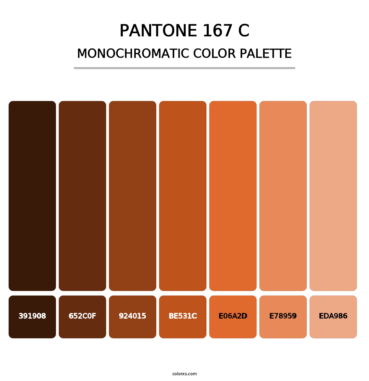 PANTONE 167 C - Monochromatic Color Palette