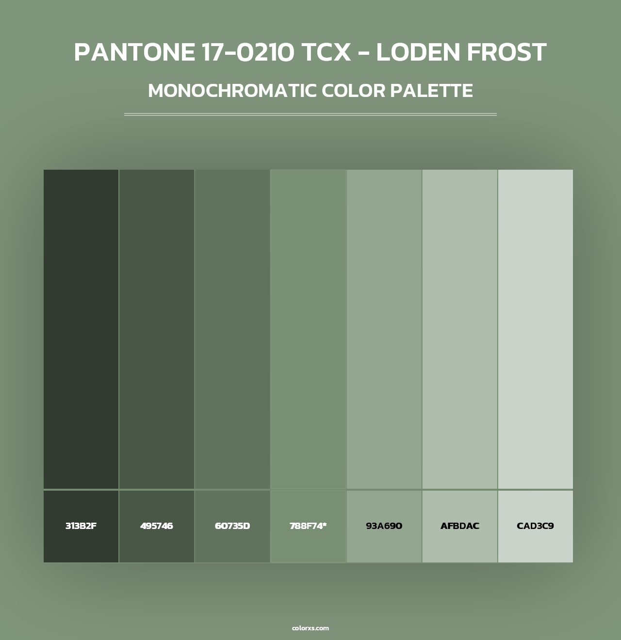 PANTONE 17-0210 TCX - Loden Frost - Monochromatic Color Palette