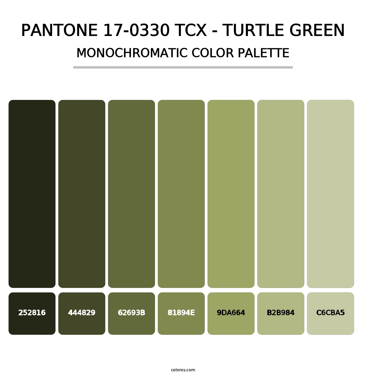 PANTONE 17-0330 TCX - Turtle Green - Monochromatic Color Palette
