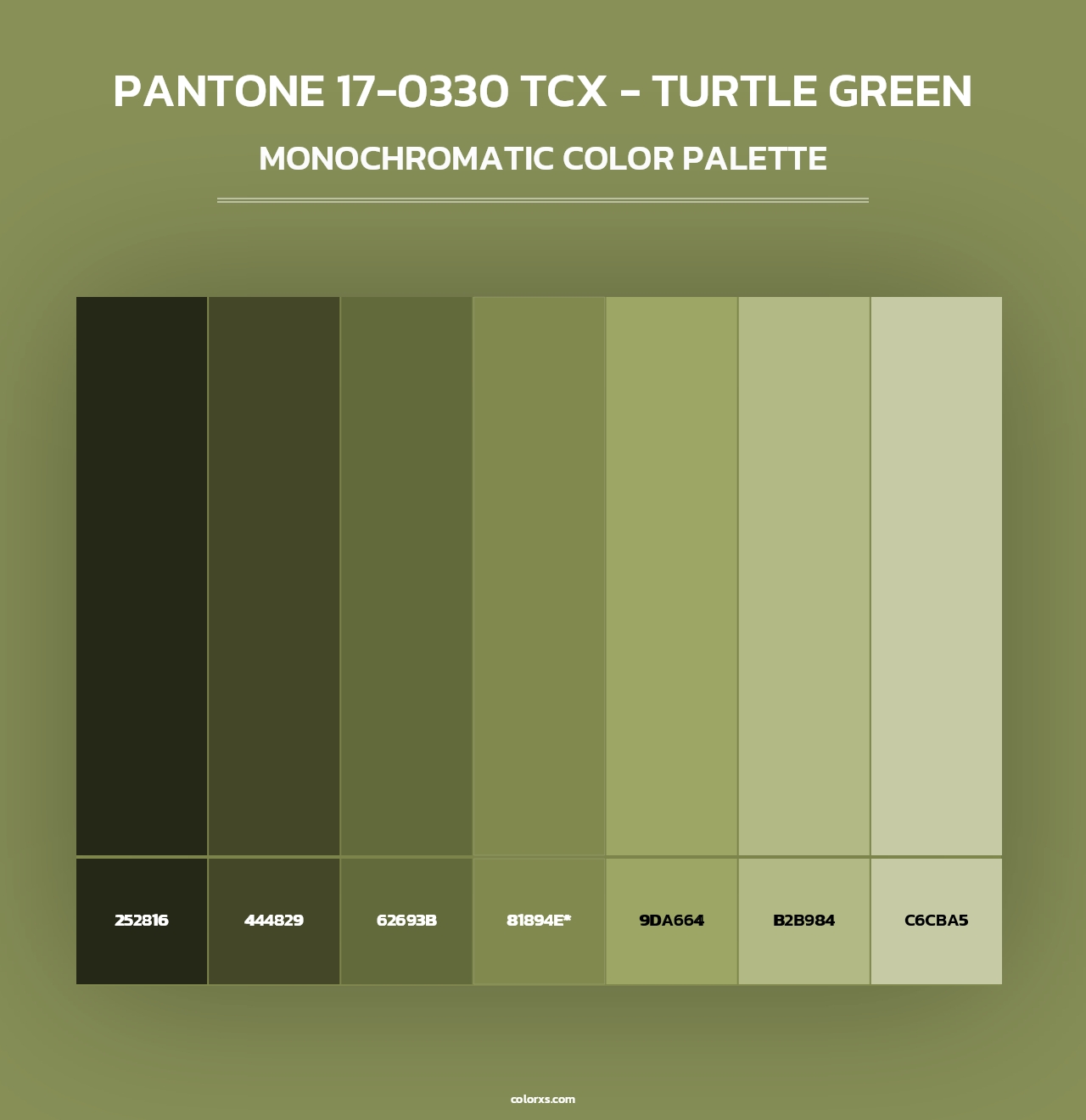 PANTONE 17-0330 TCX - Turtle Green - Monochromatic Color Palette