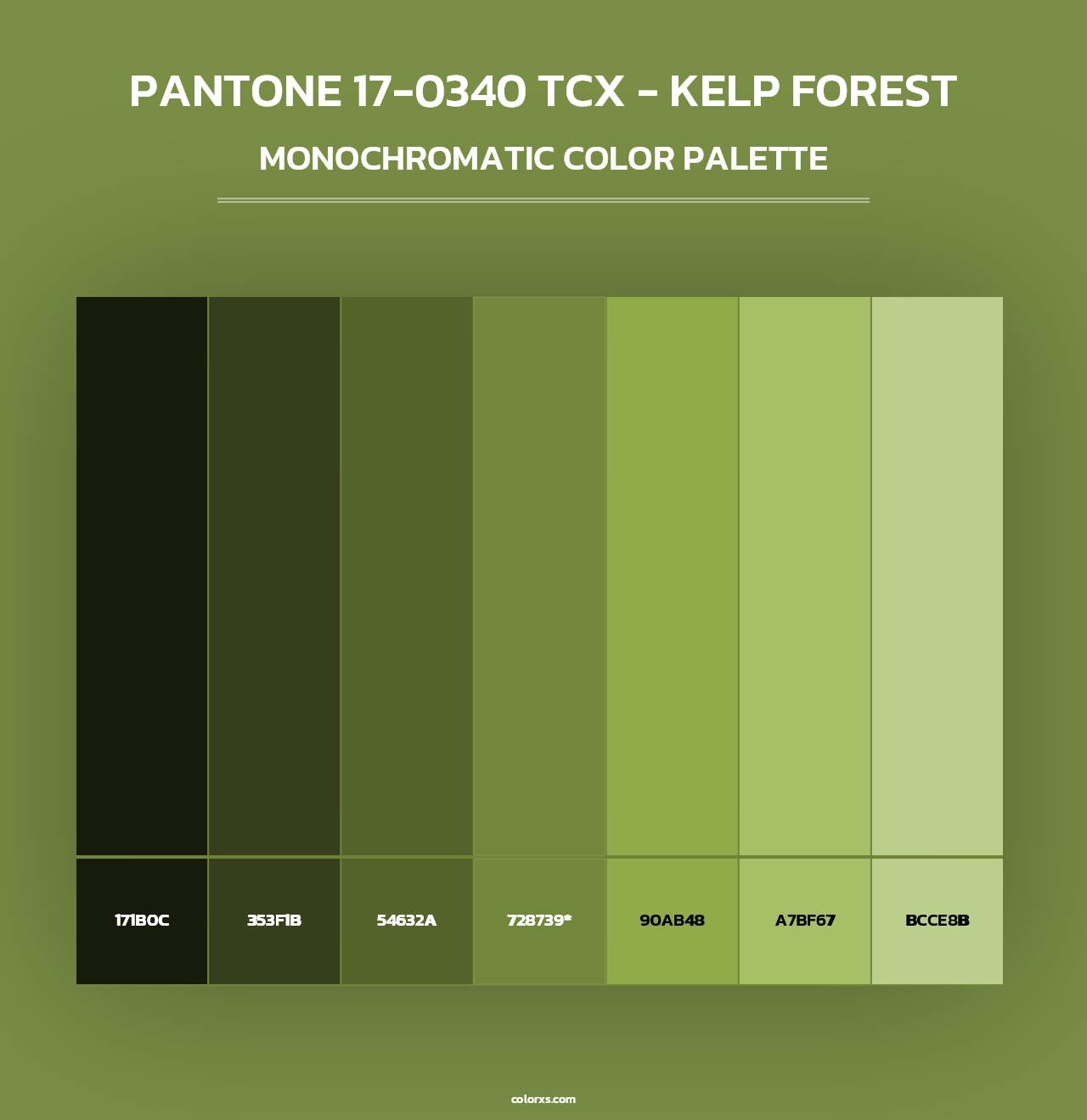 PANTONE 17-0340 TCX - Kelp Forest - Monochromatic Color Palette