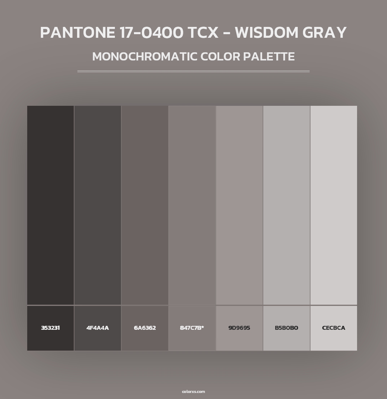 PANTONE 17-0400 TCX - Wisdom Gray - Monochromatic Color Palette