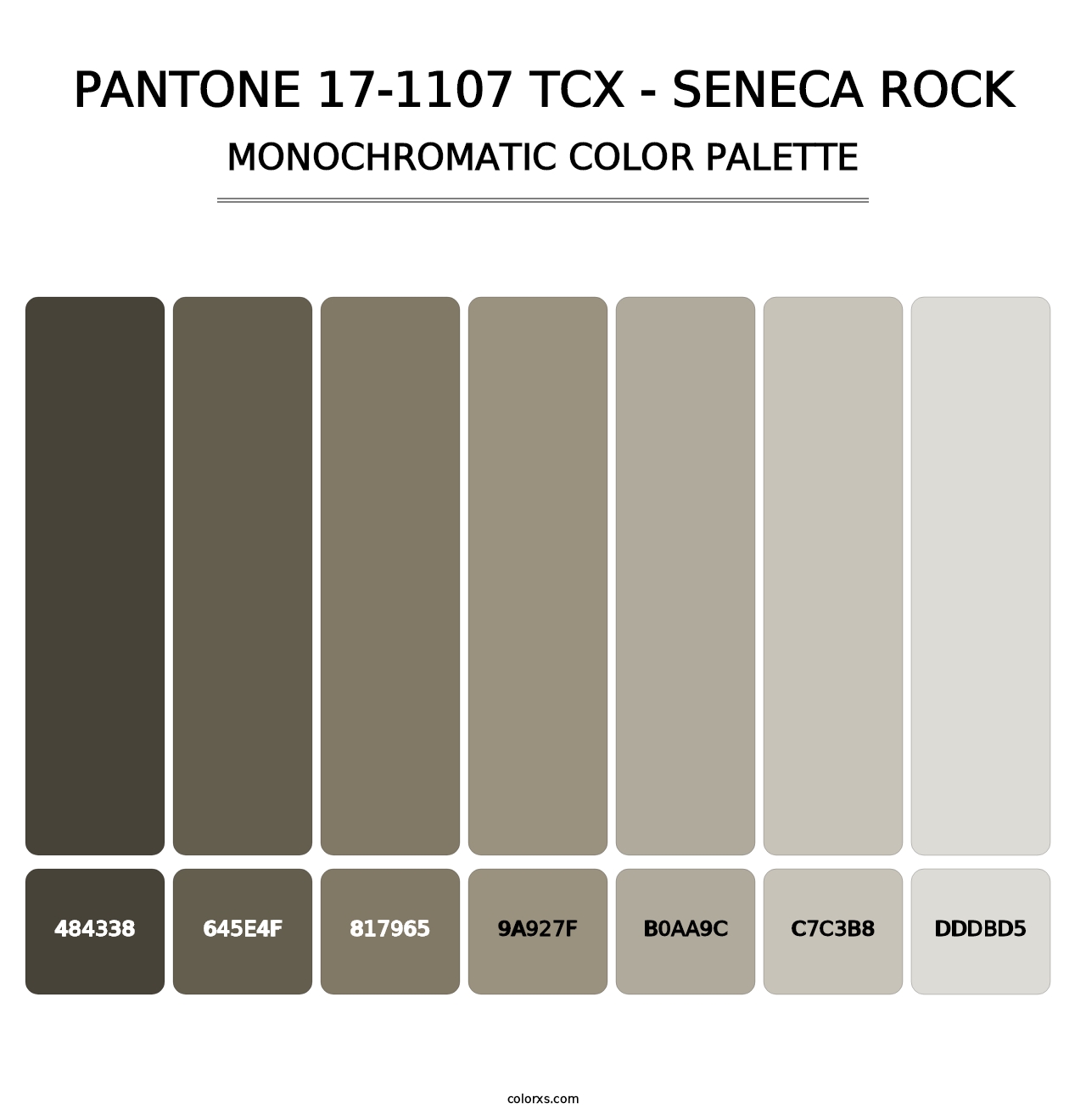 PANTONE 17-1107 TCX - Seneca Rock - Monochromatic Color Palette