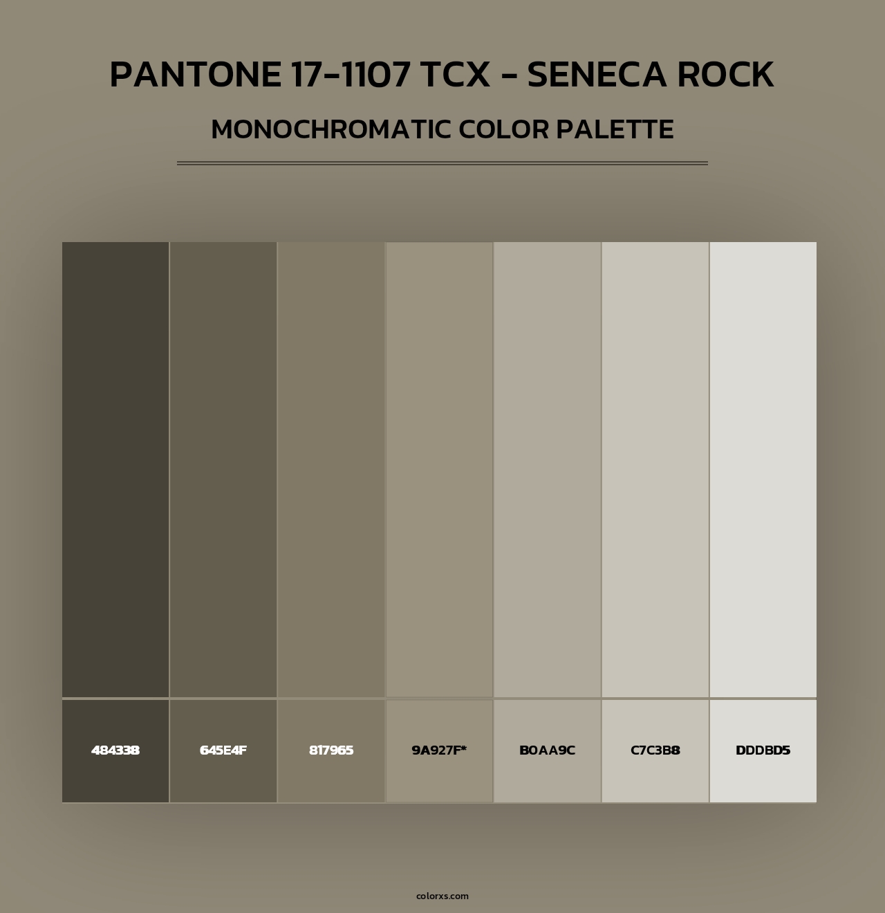 PANTONE 17-1107 TCX - Seneca Rock - Monochromatic Color Palette