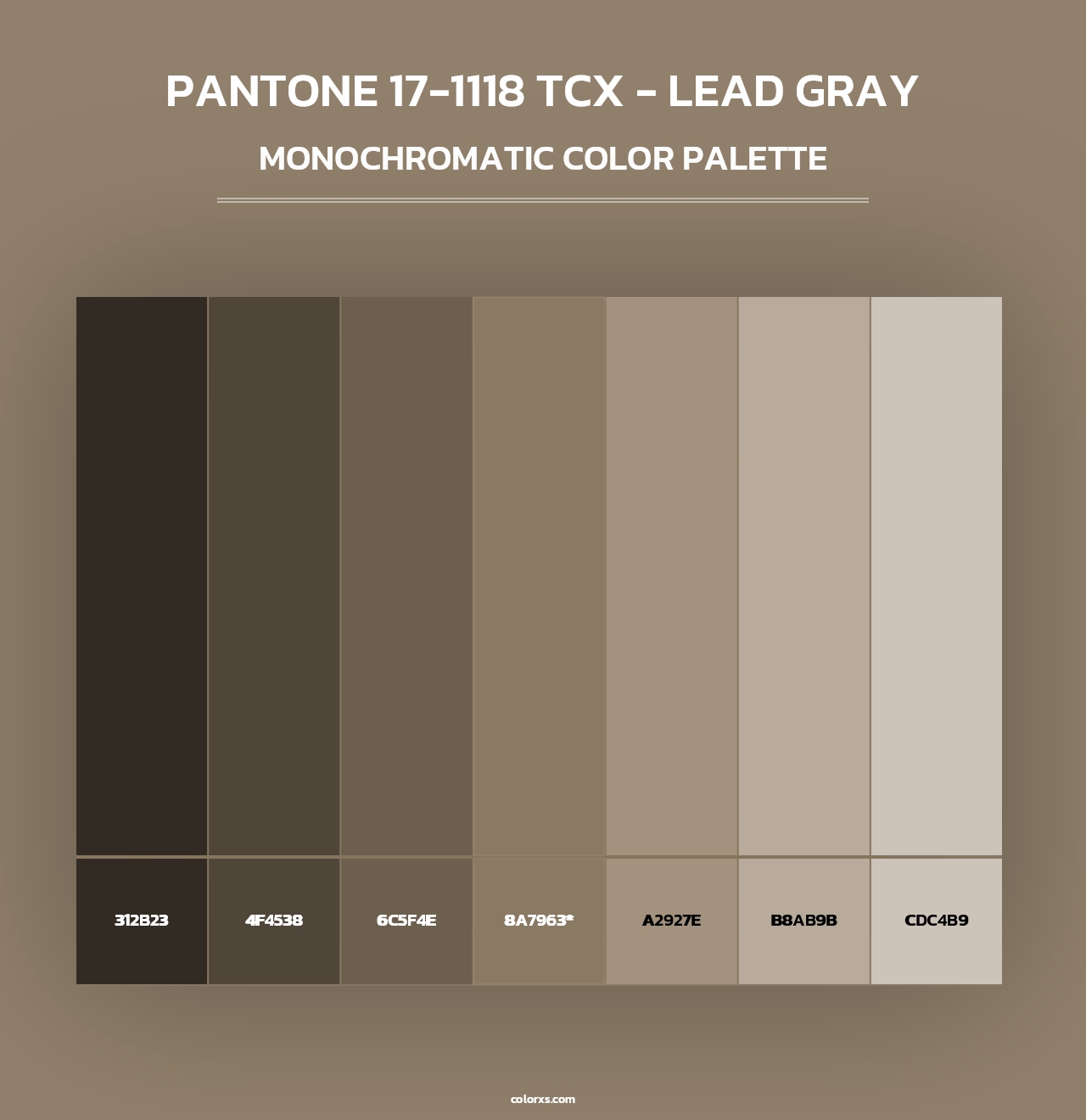 PANTONE 17-1118 TCX - Lead Gray - Monochromatic Color Palette