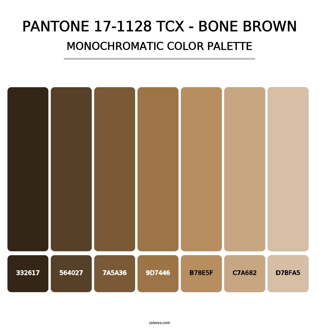 PANTONE 17-1128 TCX - Bone Brown - Monochromatic Color Palette