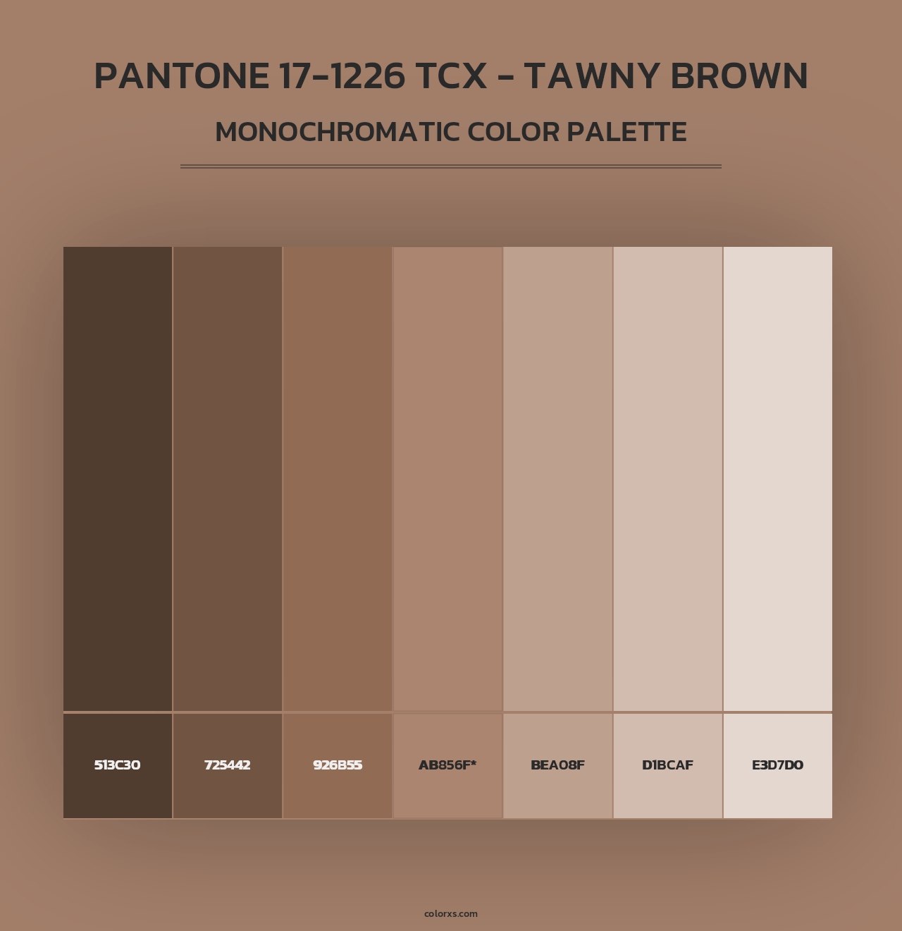 PANTONE 17-1226 TCX - Tawny Brown - Monochromatic Color Palette