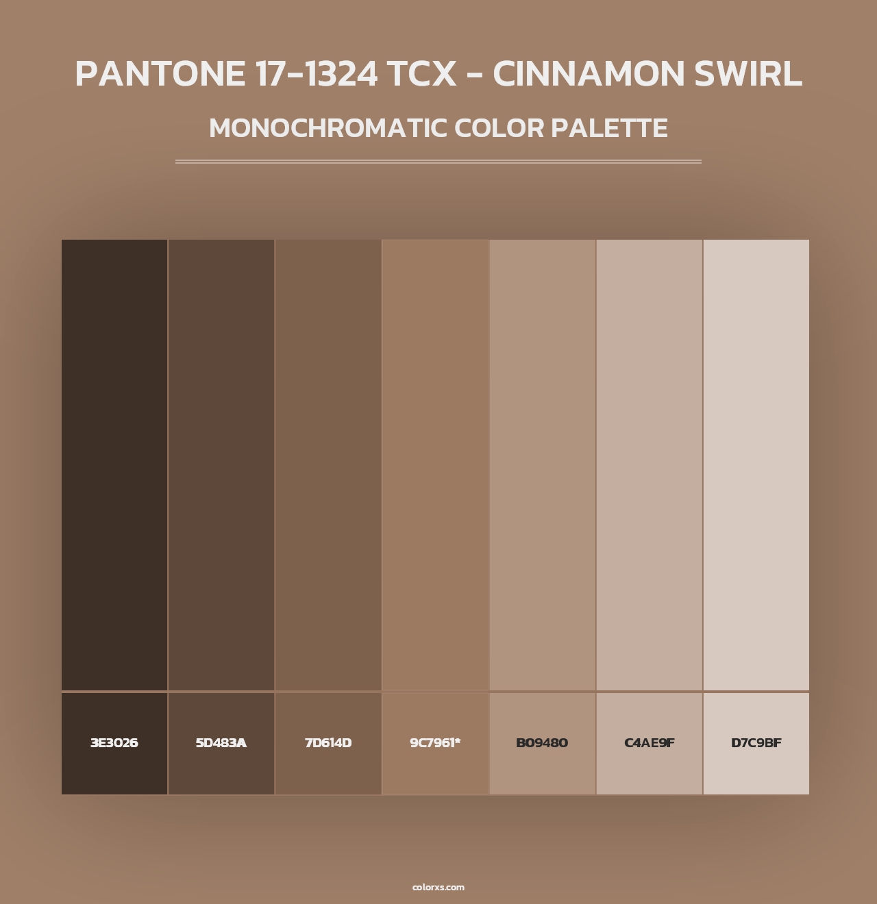 PANTONE 17-1324 TCX - Cinnamon Swirl - Monochromatic Color Palette