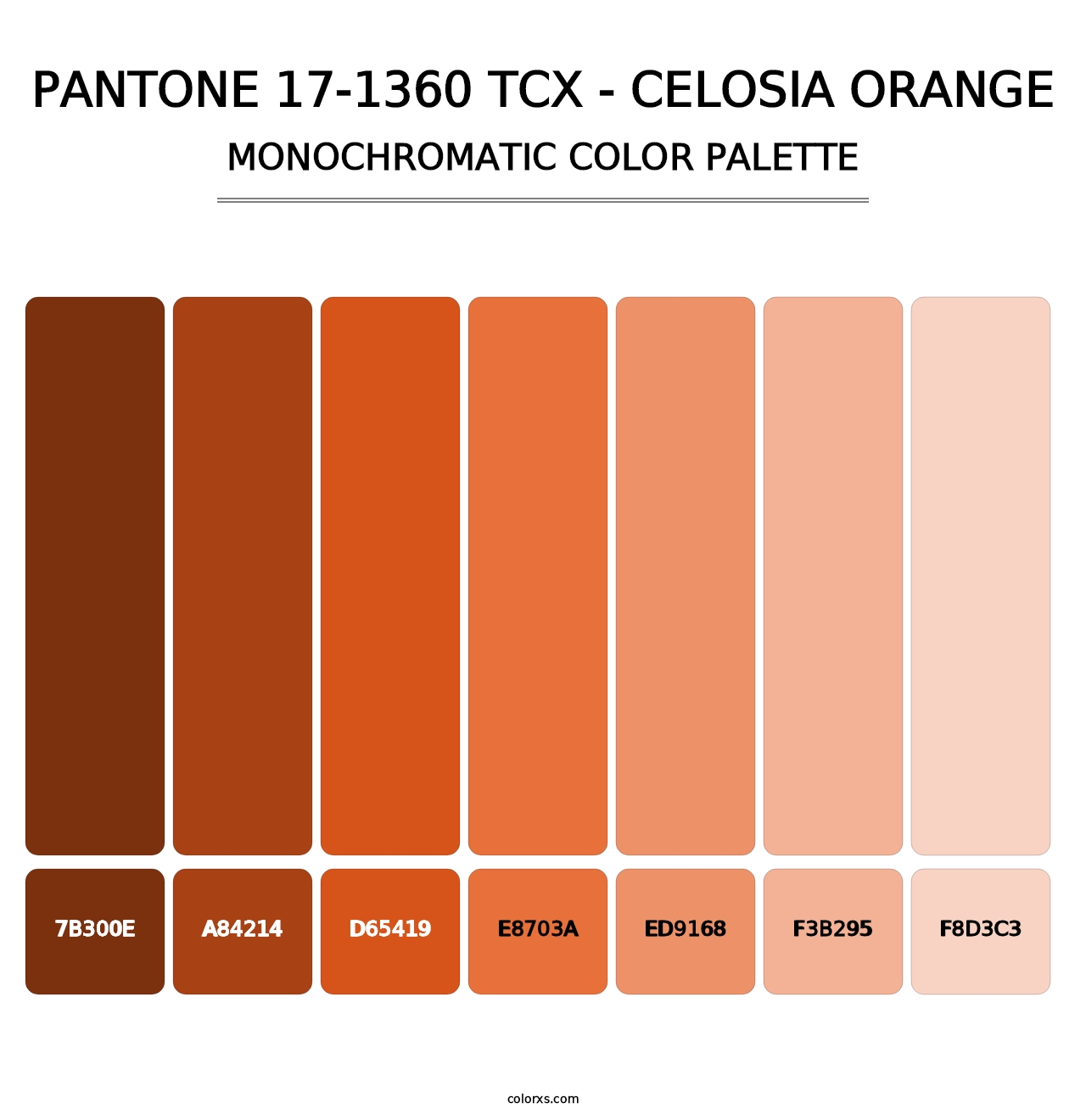 PANTONE 17-1360 TCX - Celosia Orange - Monochromatic Color Palette