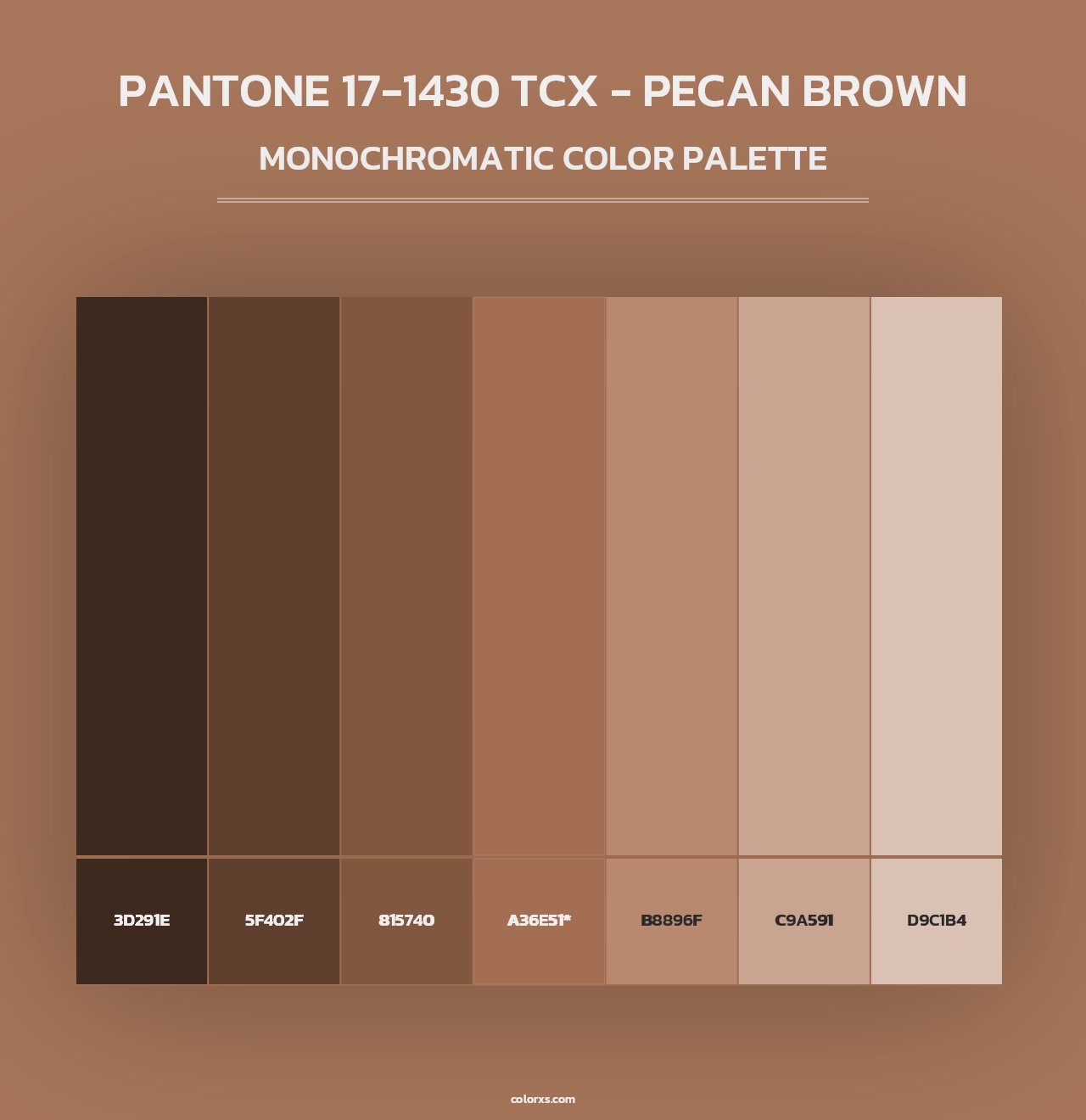 PANTONE 17-1430 TCX - Pecan Brown - Monochromatic Color Palette