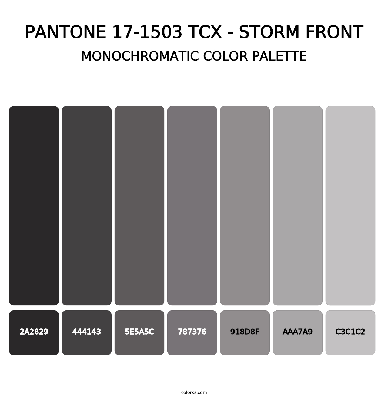 PANTONE 17-1503 TCX - Storm Front - Monochromatic Color Palette