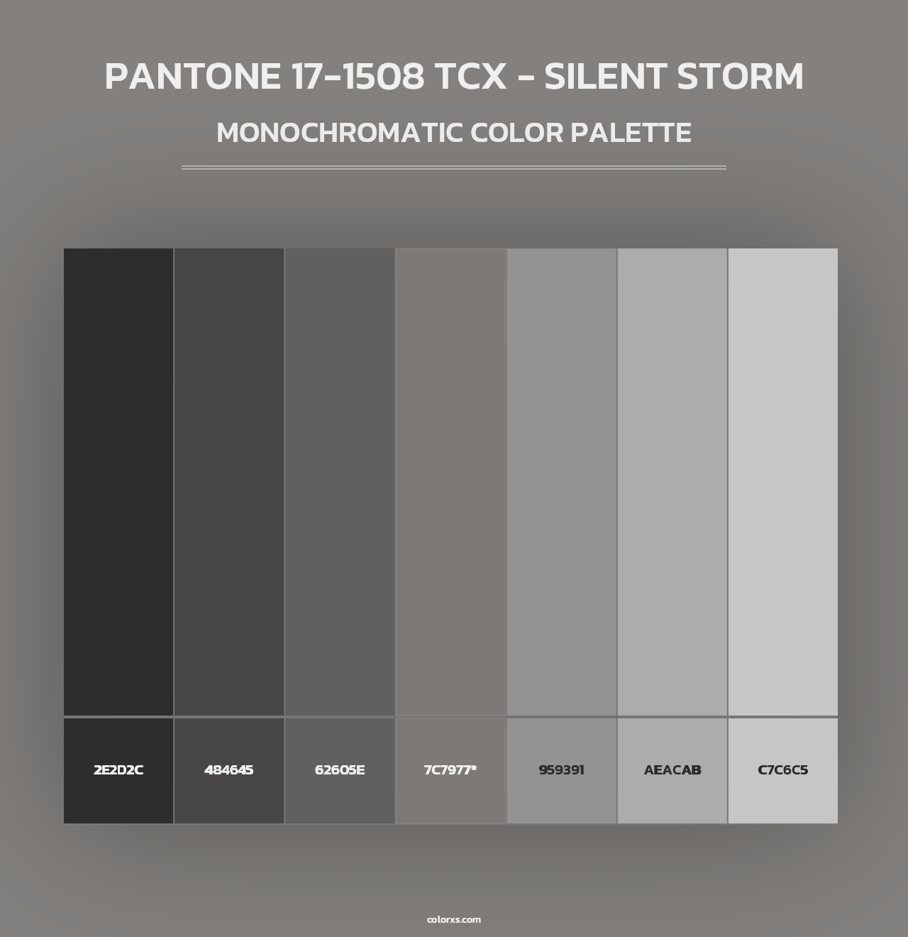 PANTONE 17-1508 TCX - Silent Storm - Monochromatic Color Palette