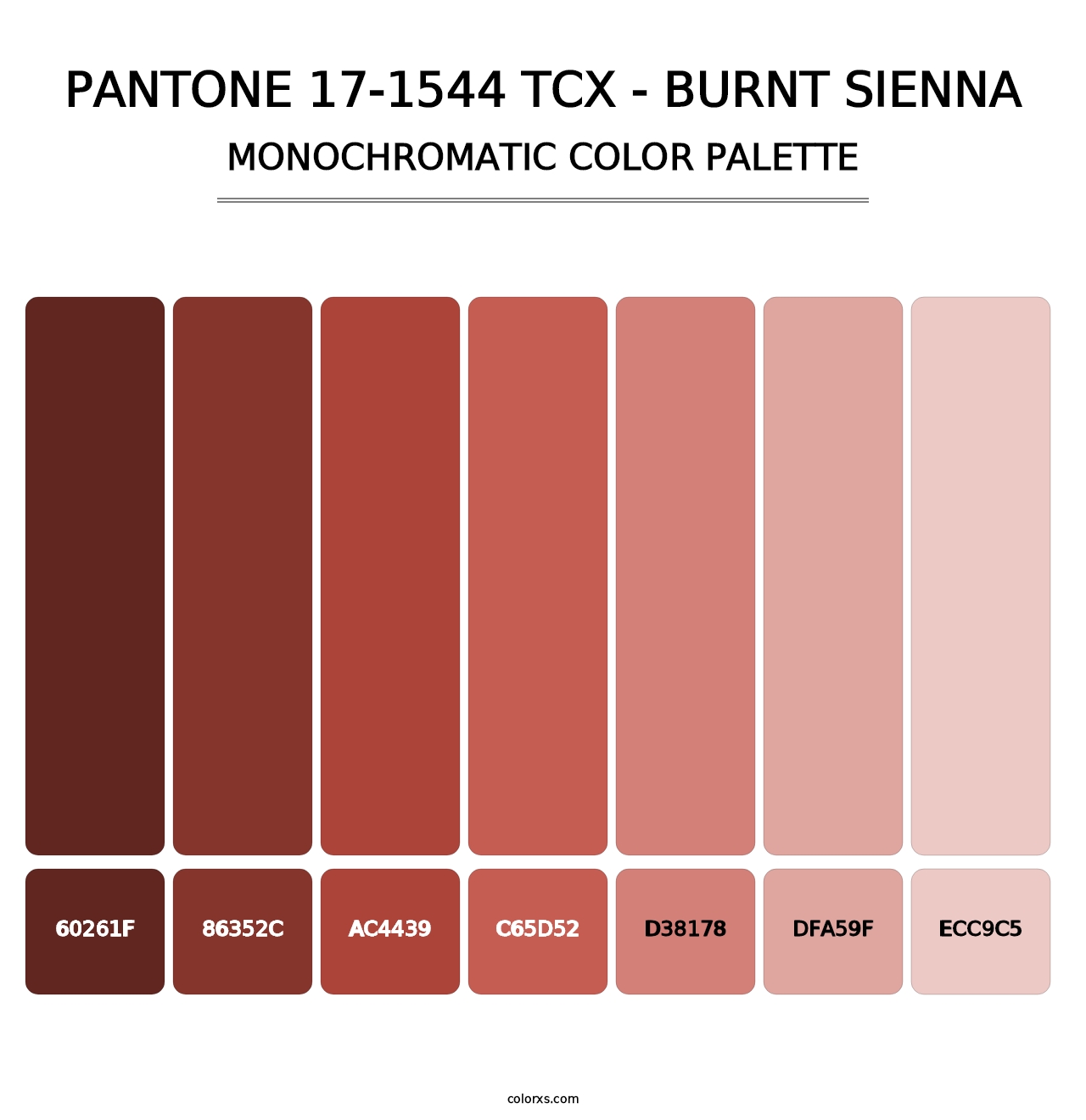 PANTONE 17-1544 TCX - Burnt Sienna - Monochromatic Color Palette