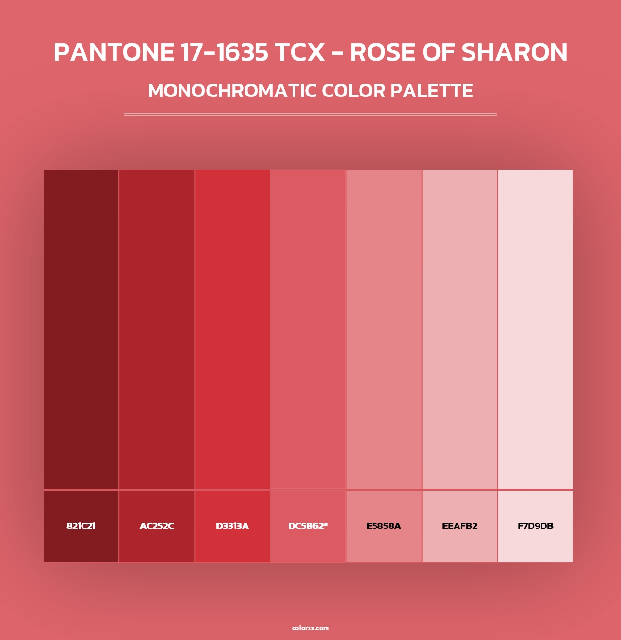 PANTONE 17-1635 TCX - Rose of Sharon - Monochromatic Color Palette
