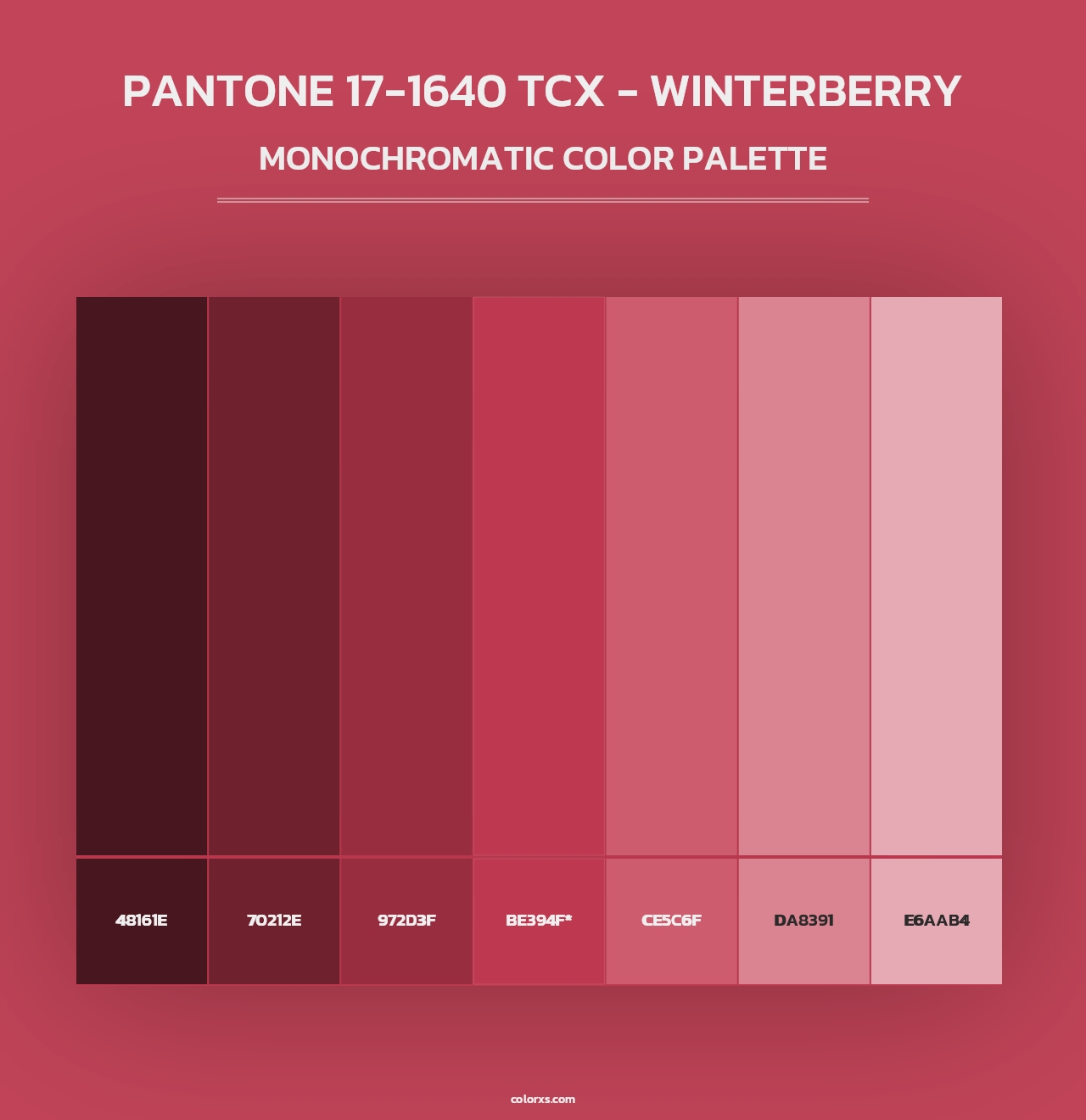 PANTONE 17-1640 TCX - Winterberry - Monochromatic Color Palette