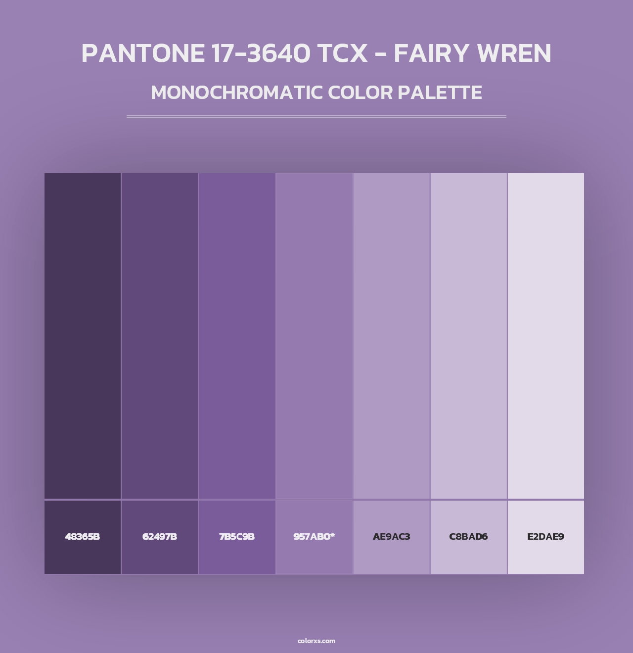 PANTONE 17-3640 TCX - Fairy Wren - Monochromatic Color Palette