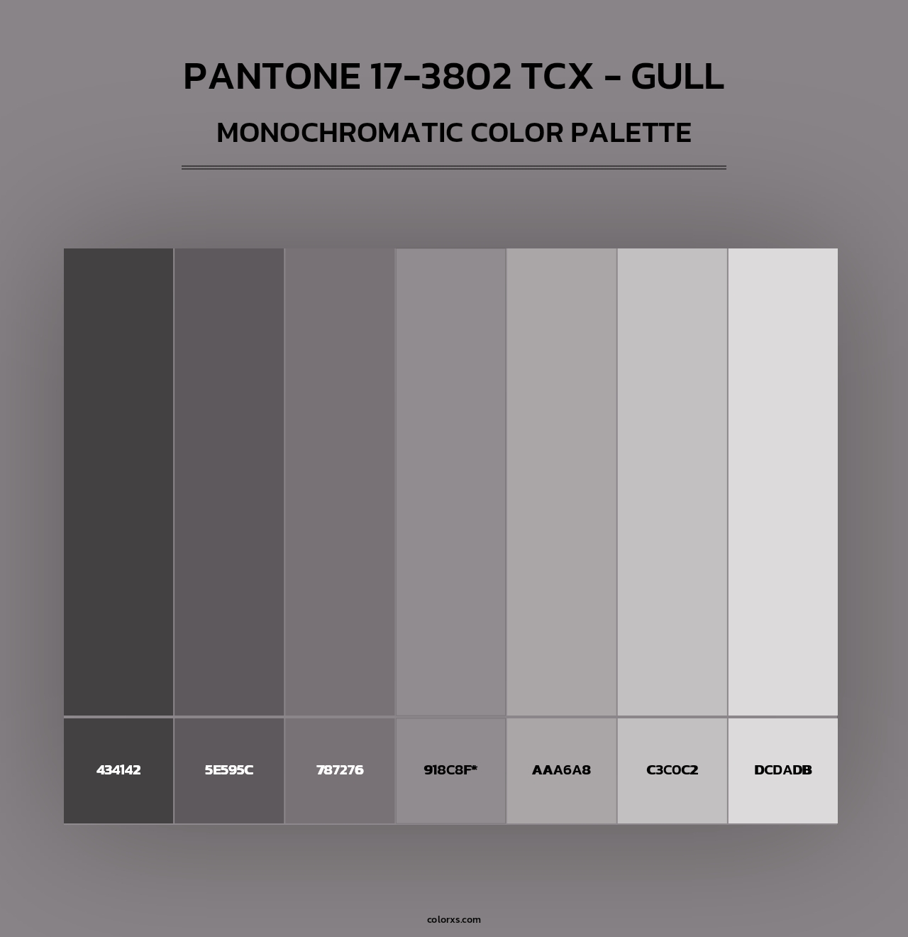 PANTONE 17-3802 TCX - Gull - Monochromatic Color Palette
