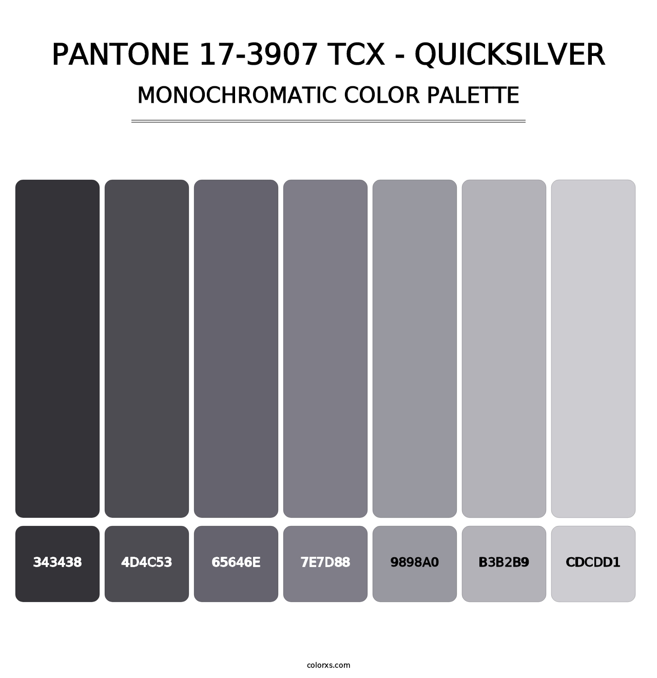 PANTONE 17-3907 TCX - Quicksilver - Monochromatic Color Palette