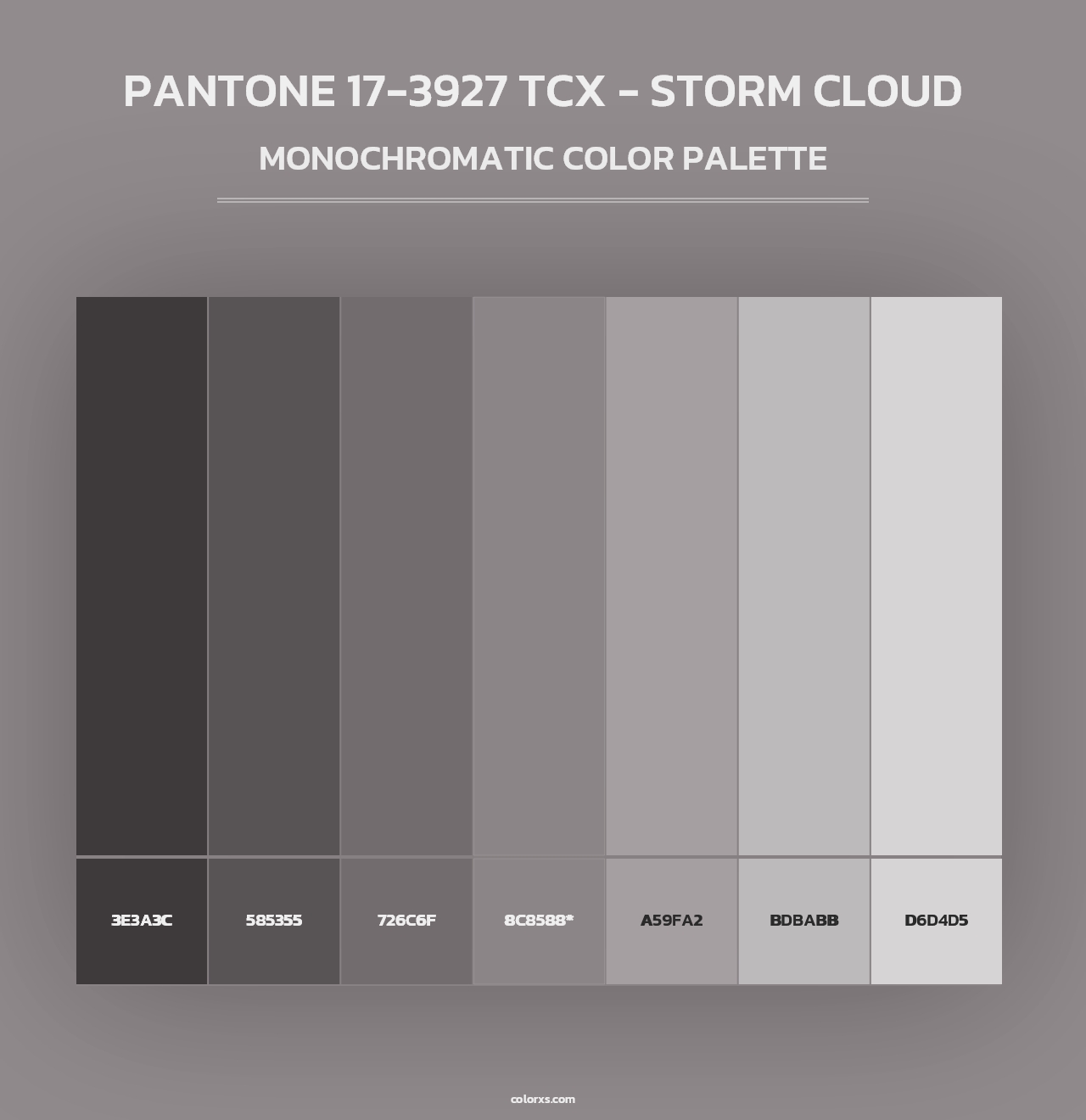 PANTONE 17-3927 TCX - Storm Cloud - Monochromatic Color Palette