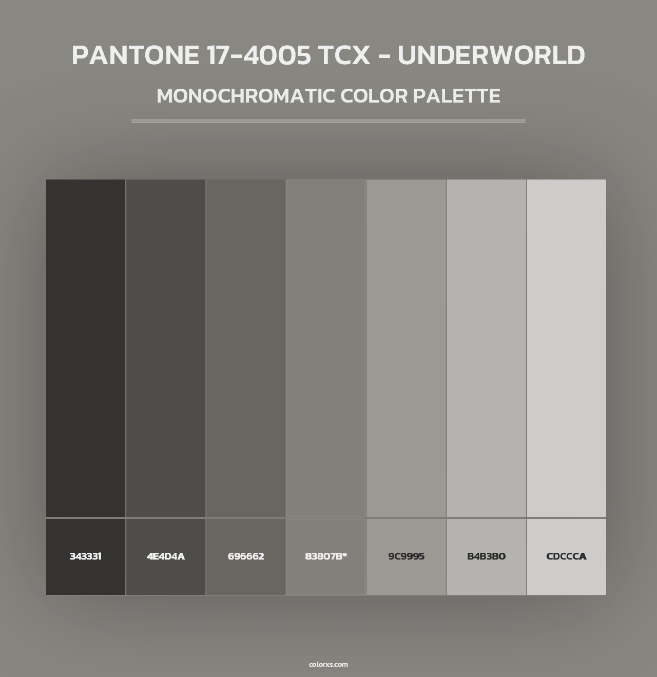 PANTONE 17-4005 TCX - Underworld - Monochromatic Color Palette