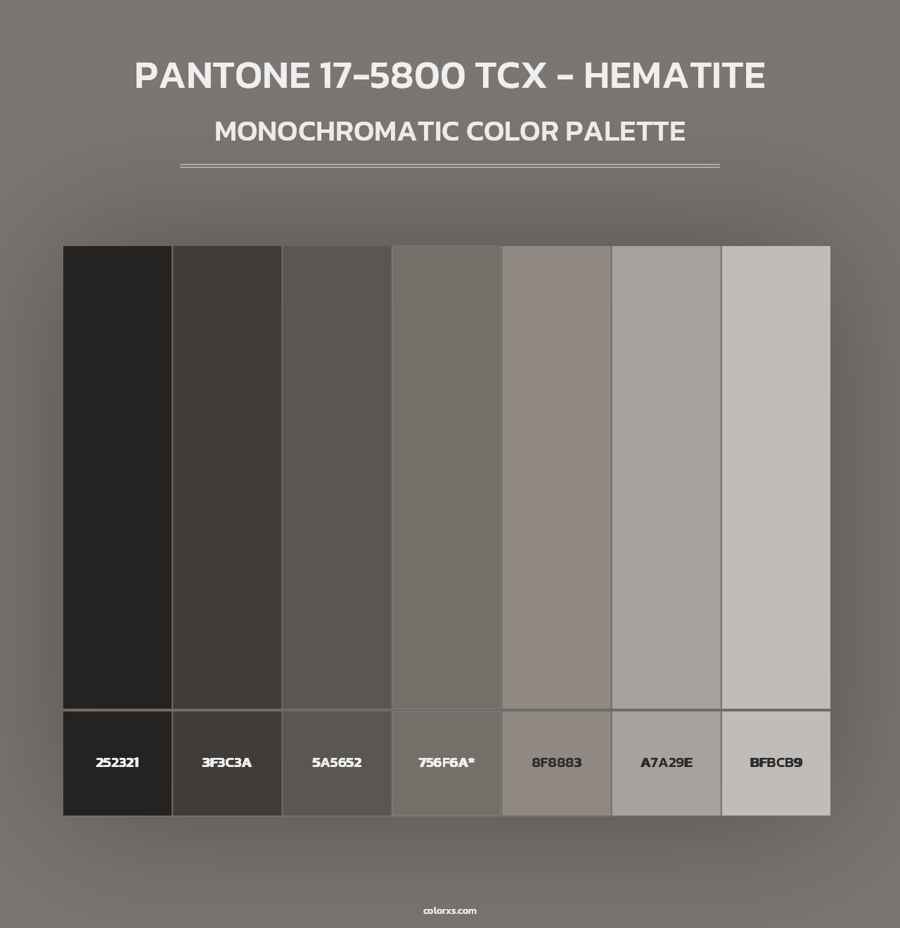 PANTONE 17-5800 TCX - Hematite - Monochromatic Color Palette