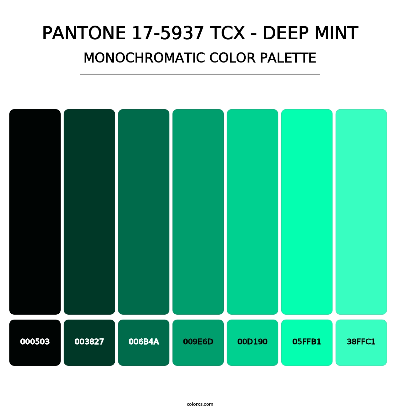 PANTONE 17-5937 TCX - Deep Mint - Monochromatic Color Palette