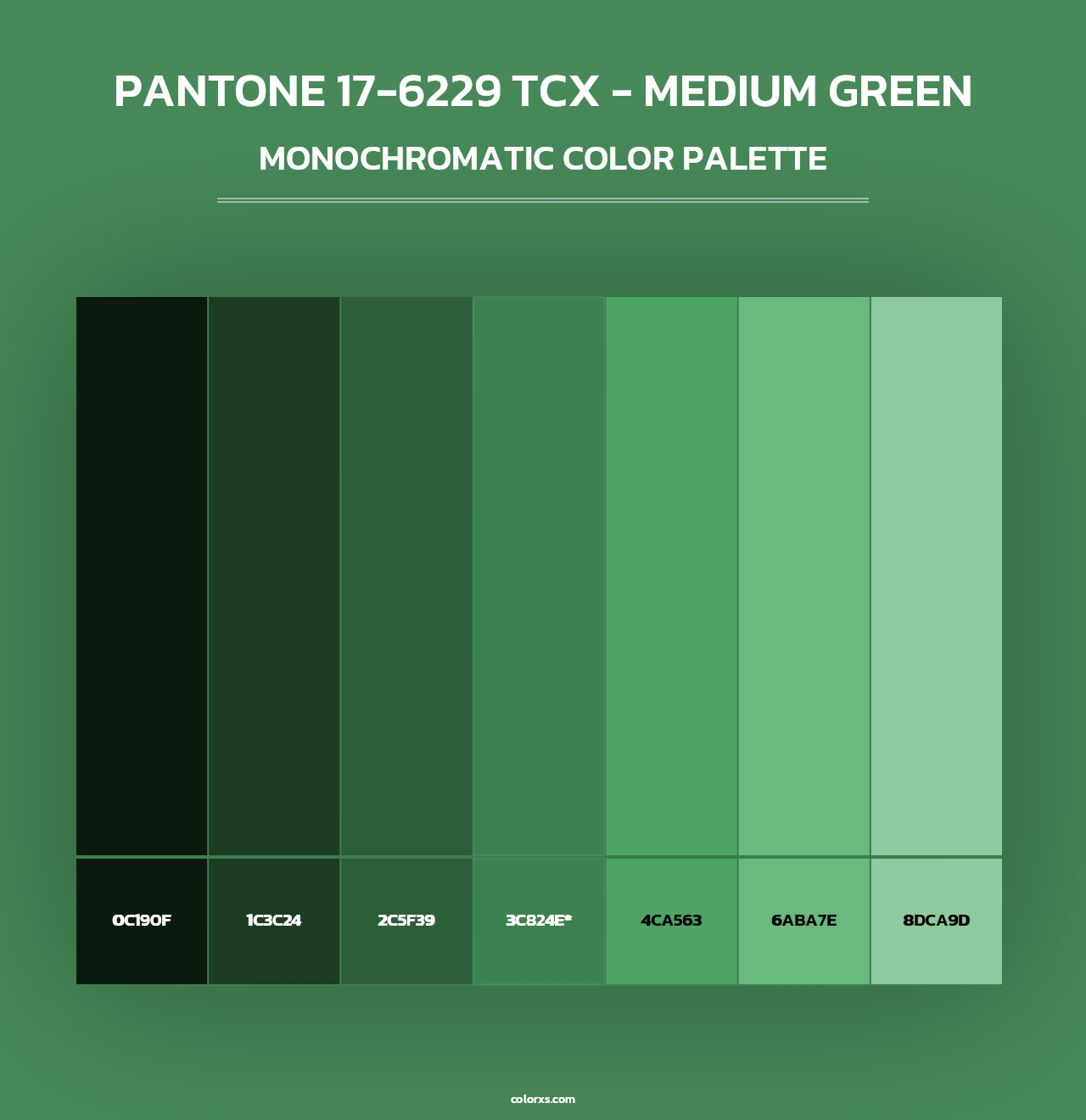 PANTONE 17-6229 TCX - Medium Green - Monochromatic Color Palette