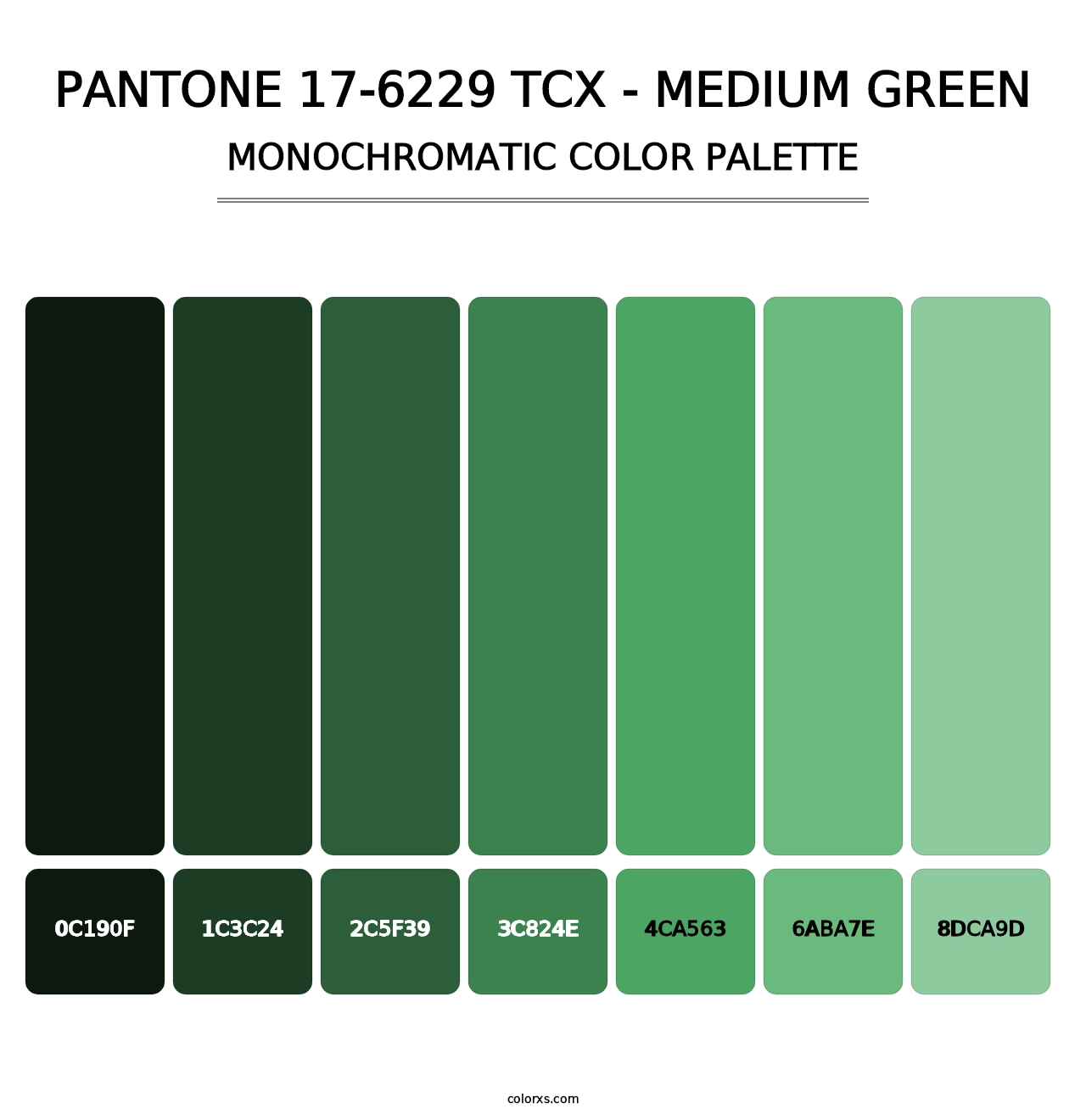 PANTONE 17-6229 TCX - Medium Green - Monochromatic Color Palette