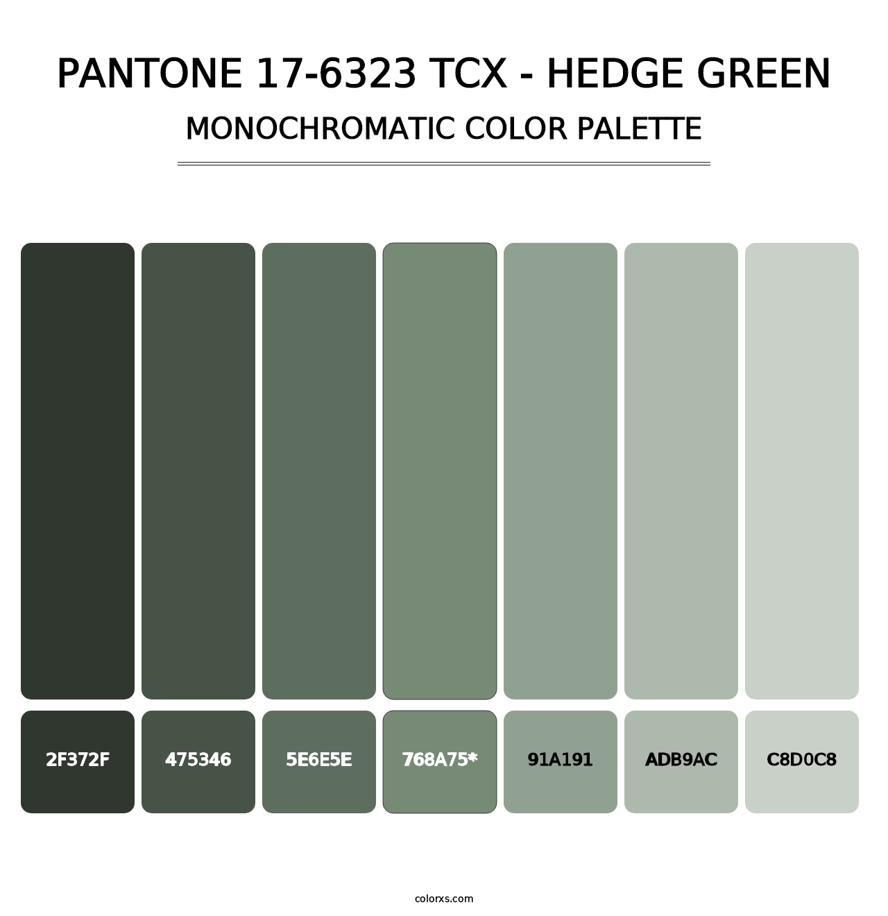 PANTONE 17-6323 TCX - Hedge Green - Monochromatic Color Palette