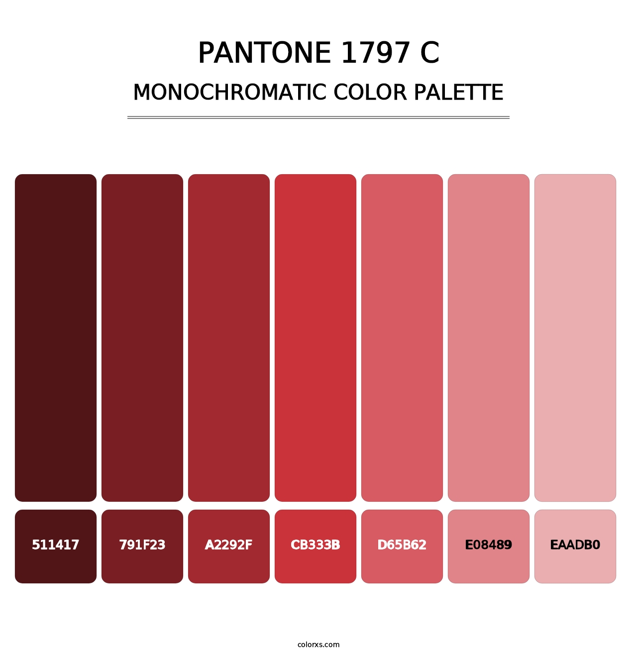 PANTONE 1797 C - Monochromatic Color Palette
