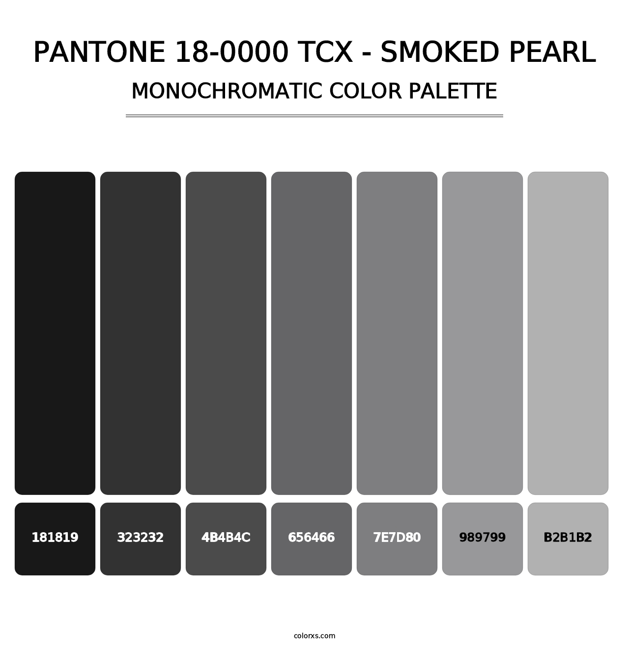 PANTONE 18-0000 TCX - Smoked Pearl - Monochromatic Color Palette