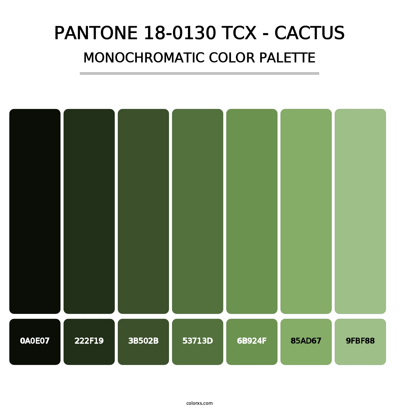 PANTONE 18-0130 TCX - Cactus - Monochromatic Color Palette