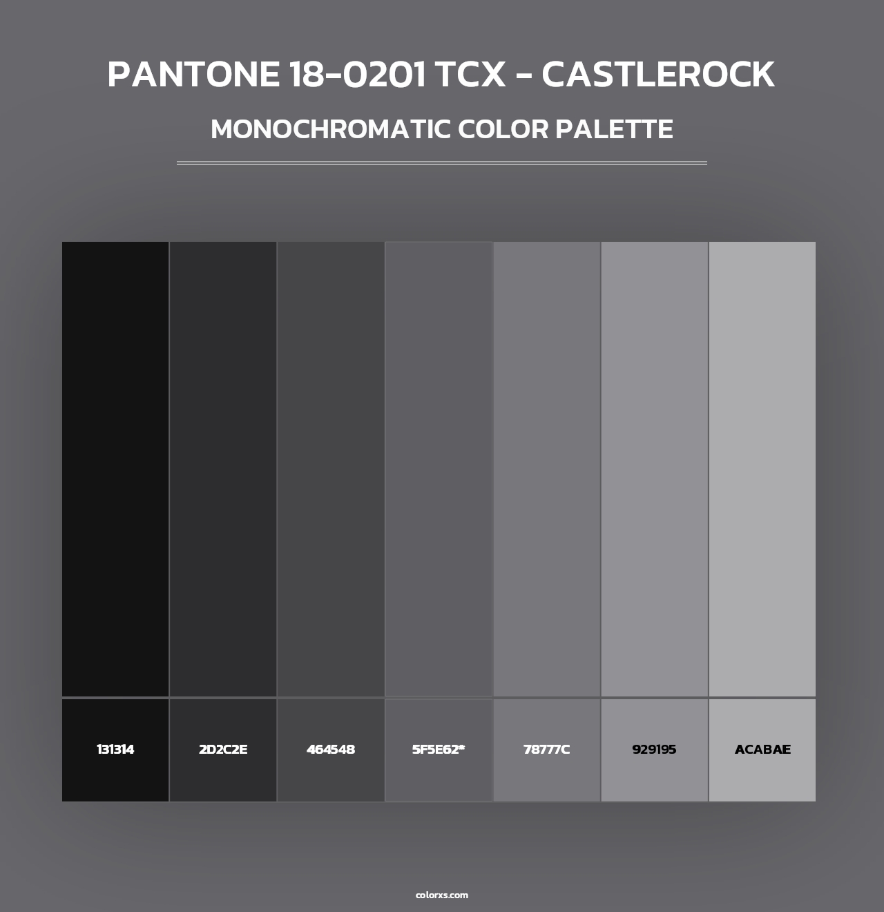 PANTONE 18-0201 TCX - Castlerock - Monochromatic Color Palette