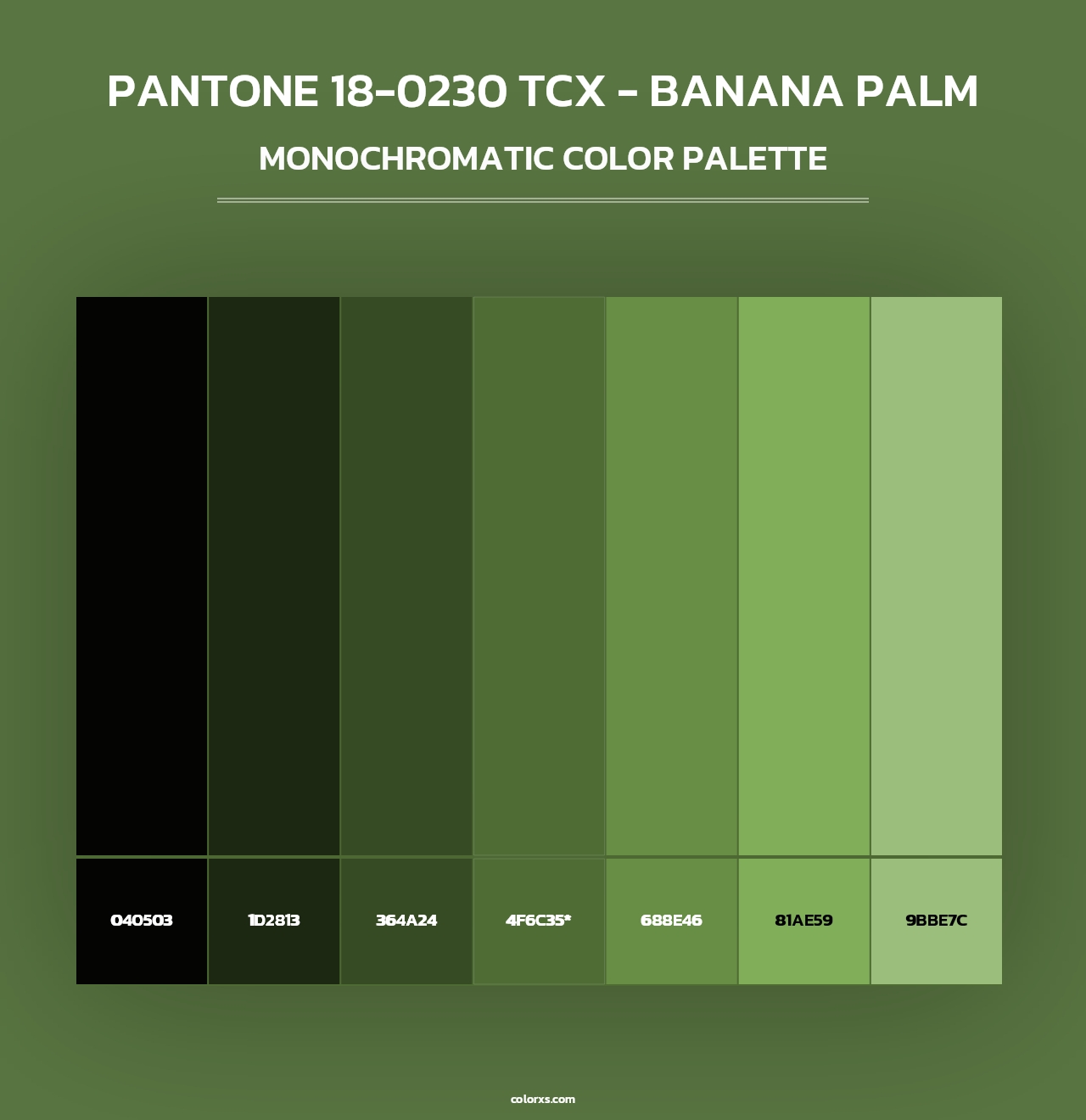 PANTONE 18-0230 TCX - Banana Palm - Monochromatic Color Palette