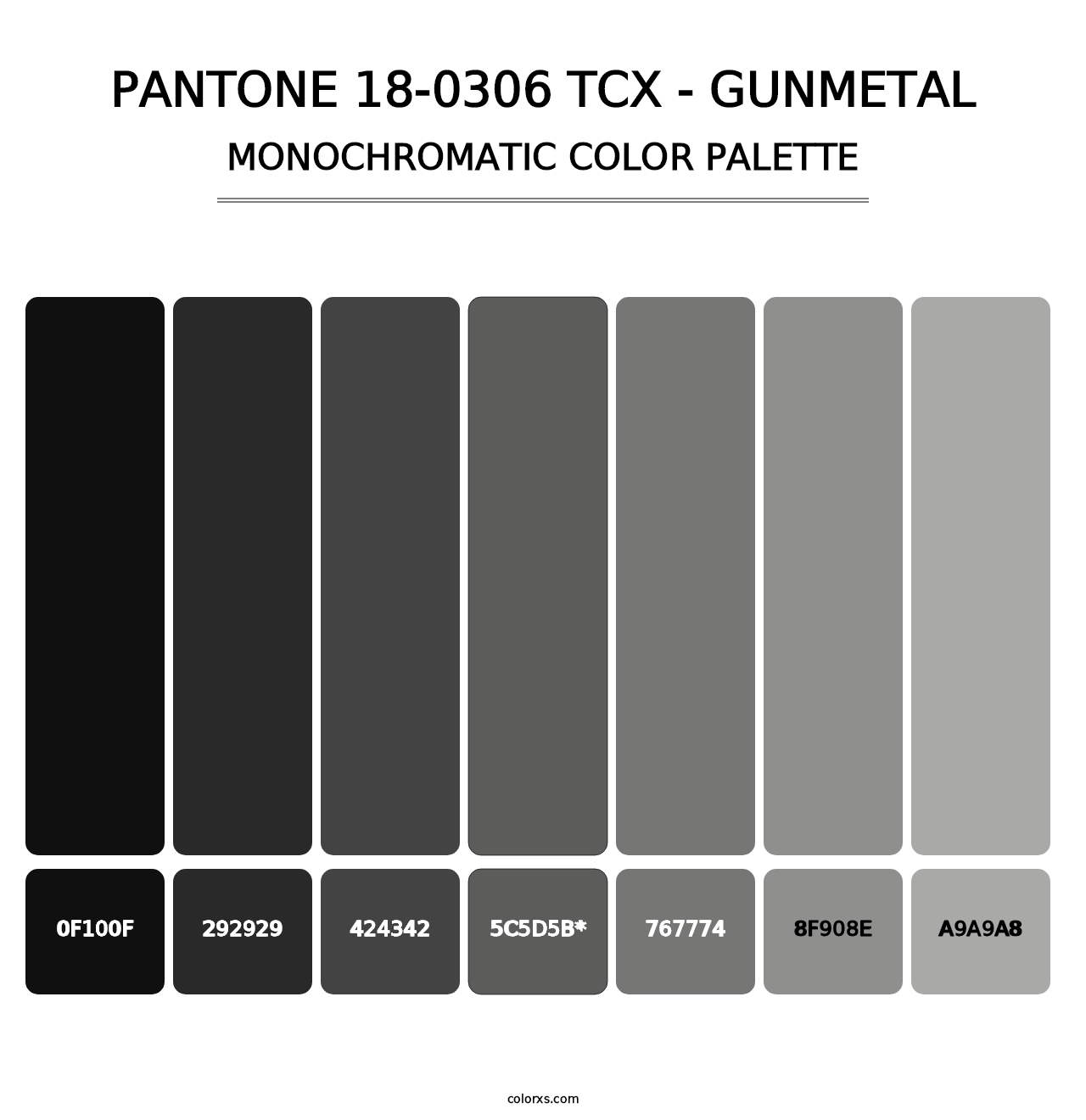 PANTONE 18-0306 TCX - Gunmetal - Monochromatic Color Palette
