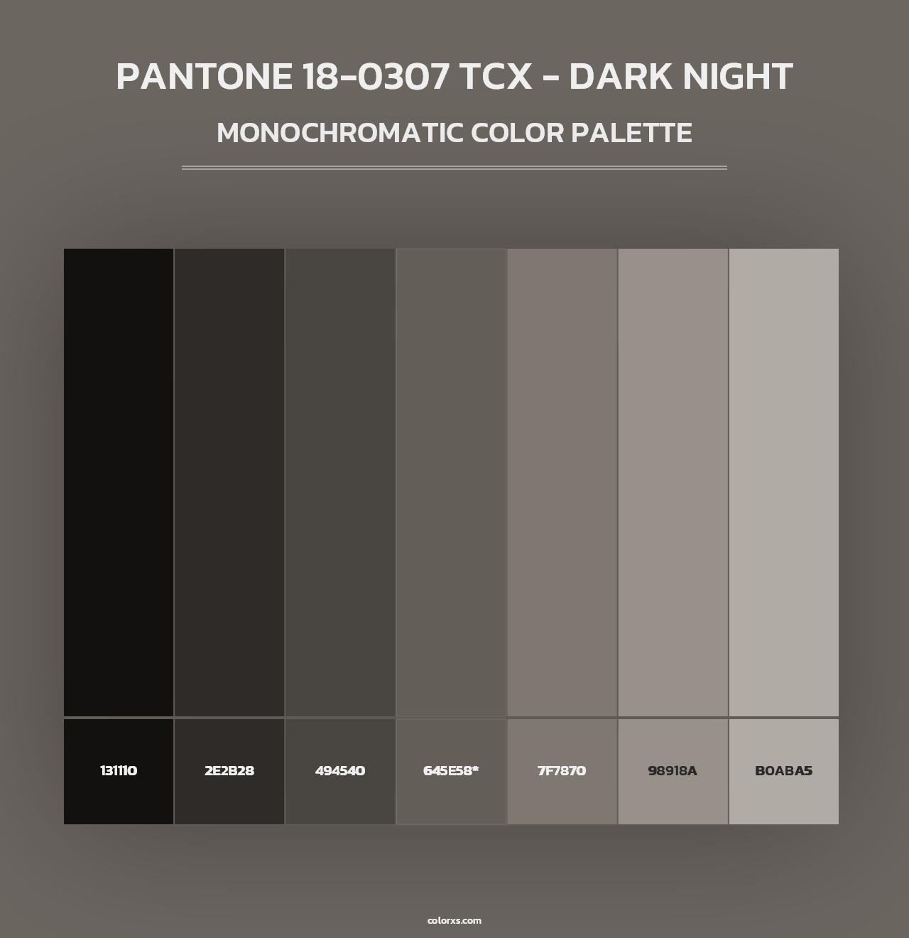 PANTONE 18-0307 TCX - Dark Night - Monochromatic Color Palette