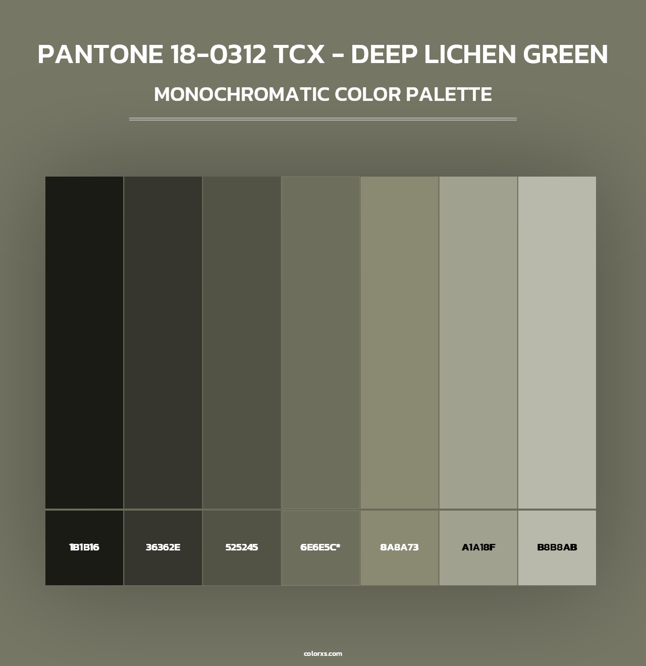 PANTONE 18-0312 TCX - Deep Lichen Green - Monochromatic Color Palette