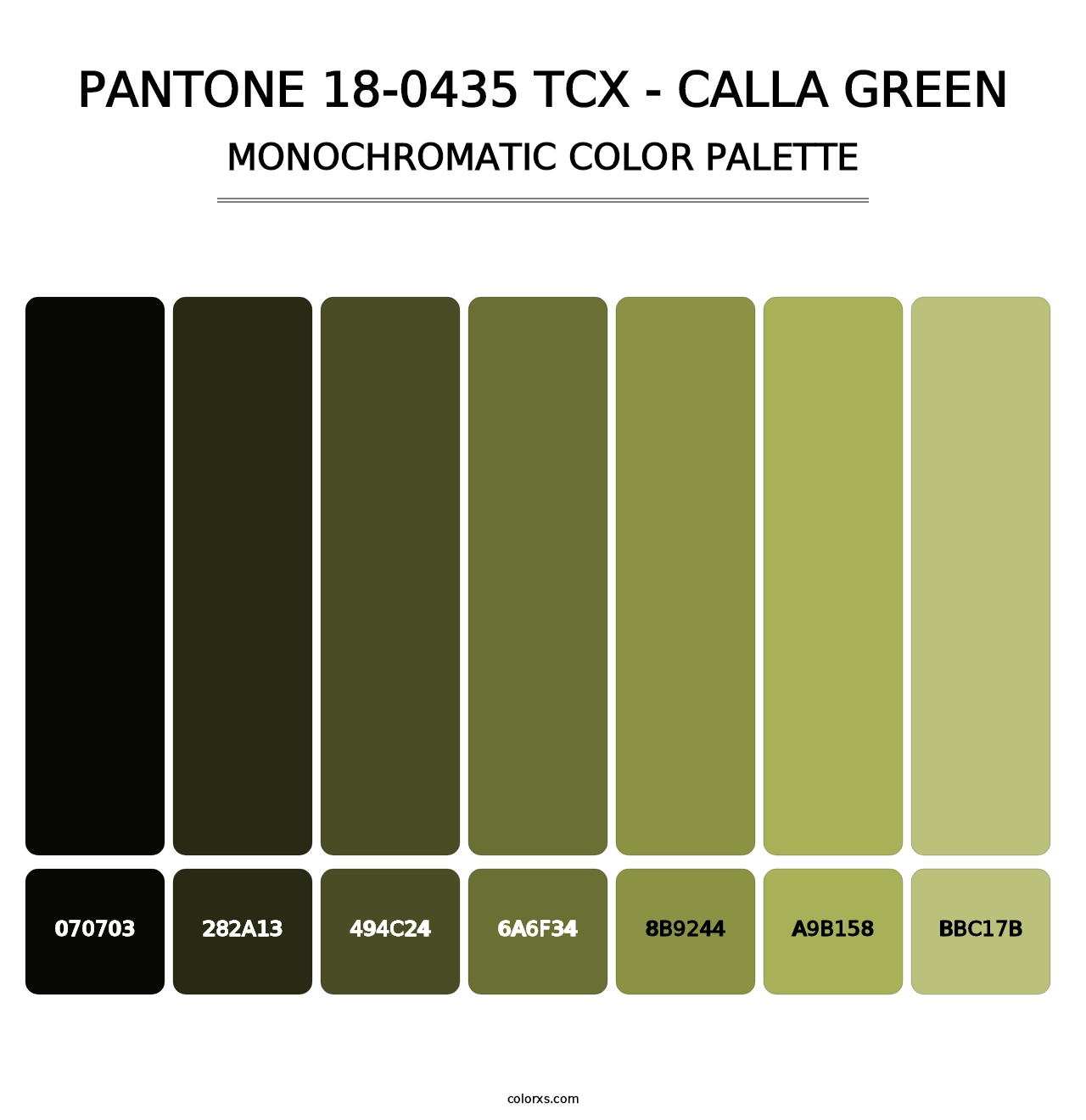 PANTONE 18-0435 TCX - Calla Green - Monochromatic Color Palette