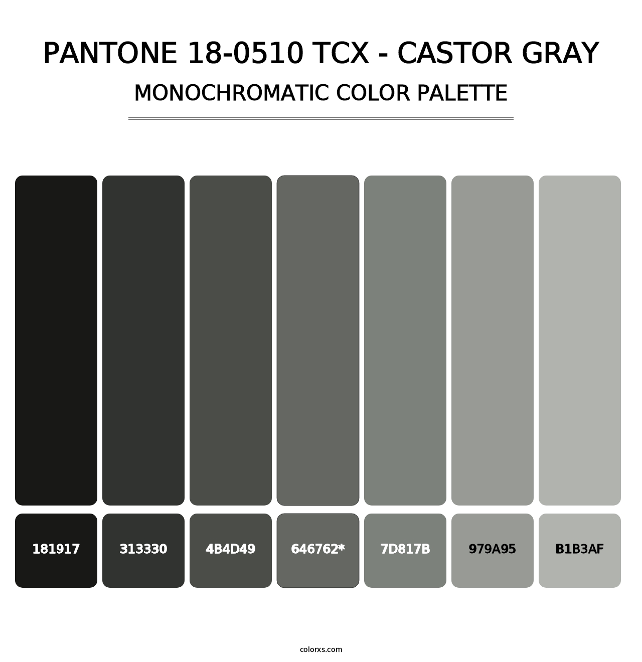 PANTONE 18-0510 TCX - Castor Gray - Monochromatic Color Palette