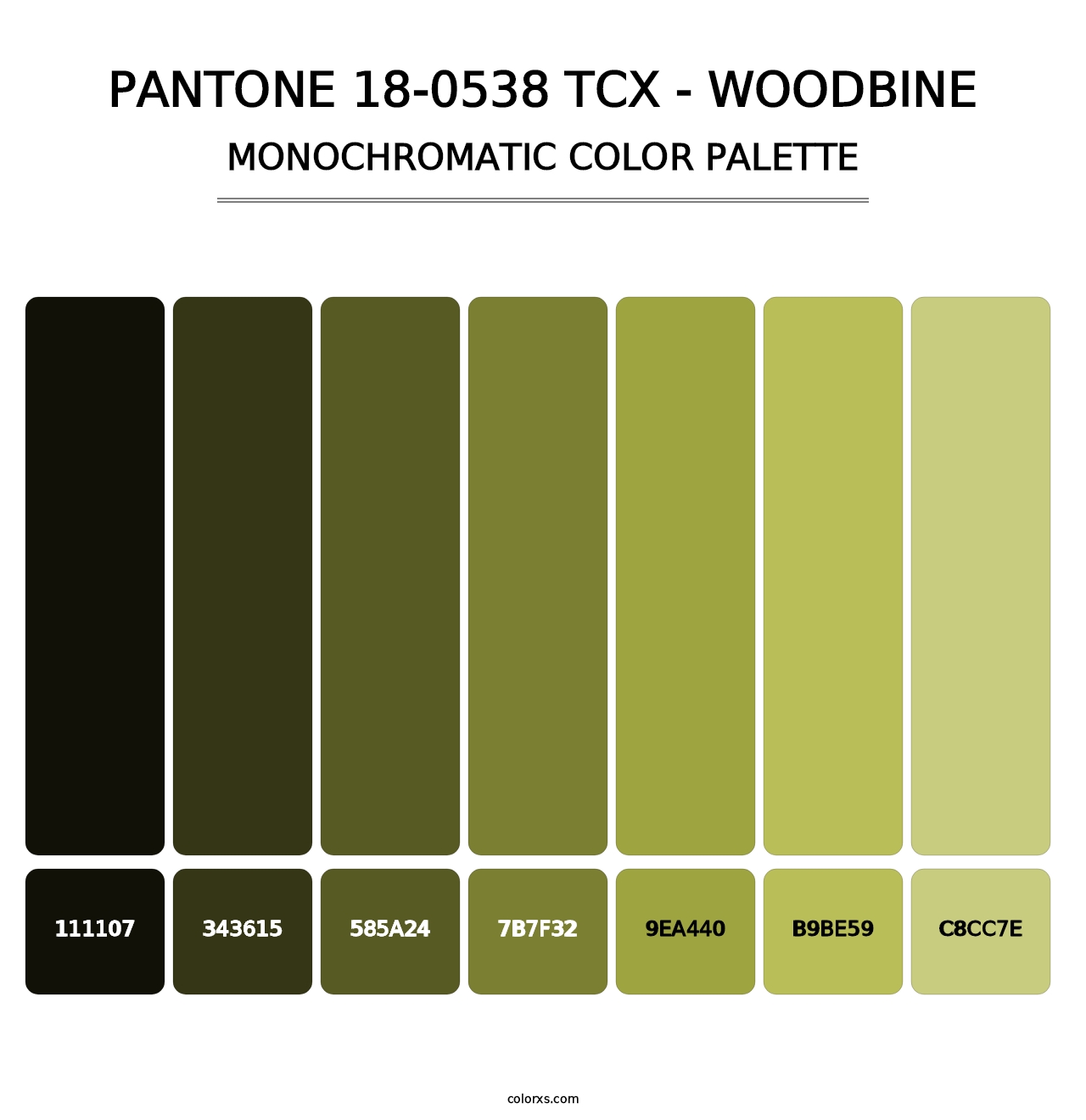 PANTONE 18-0538 TCX - Woodbine - Monochromatic Color Palette