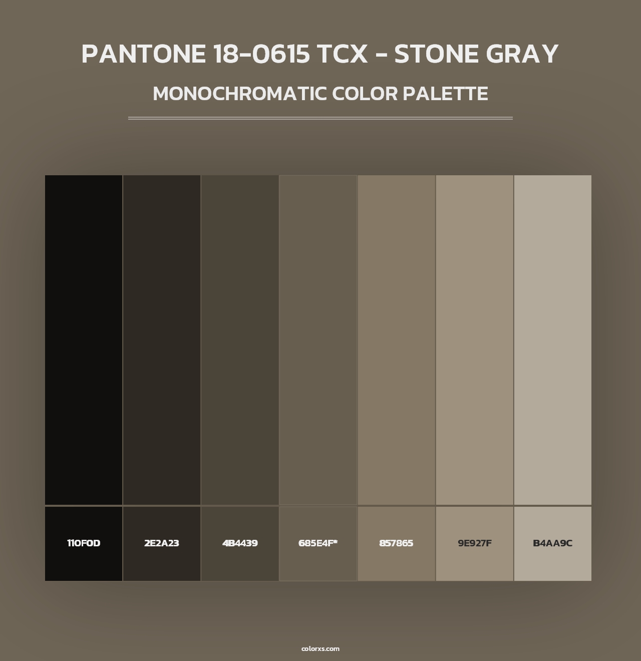 PANTONE 18-0615 TCX - Stone Gray - Monochromatic Color Palette