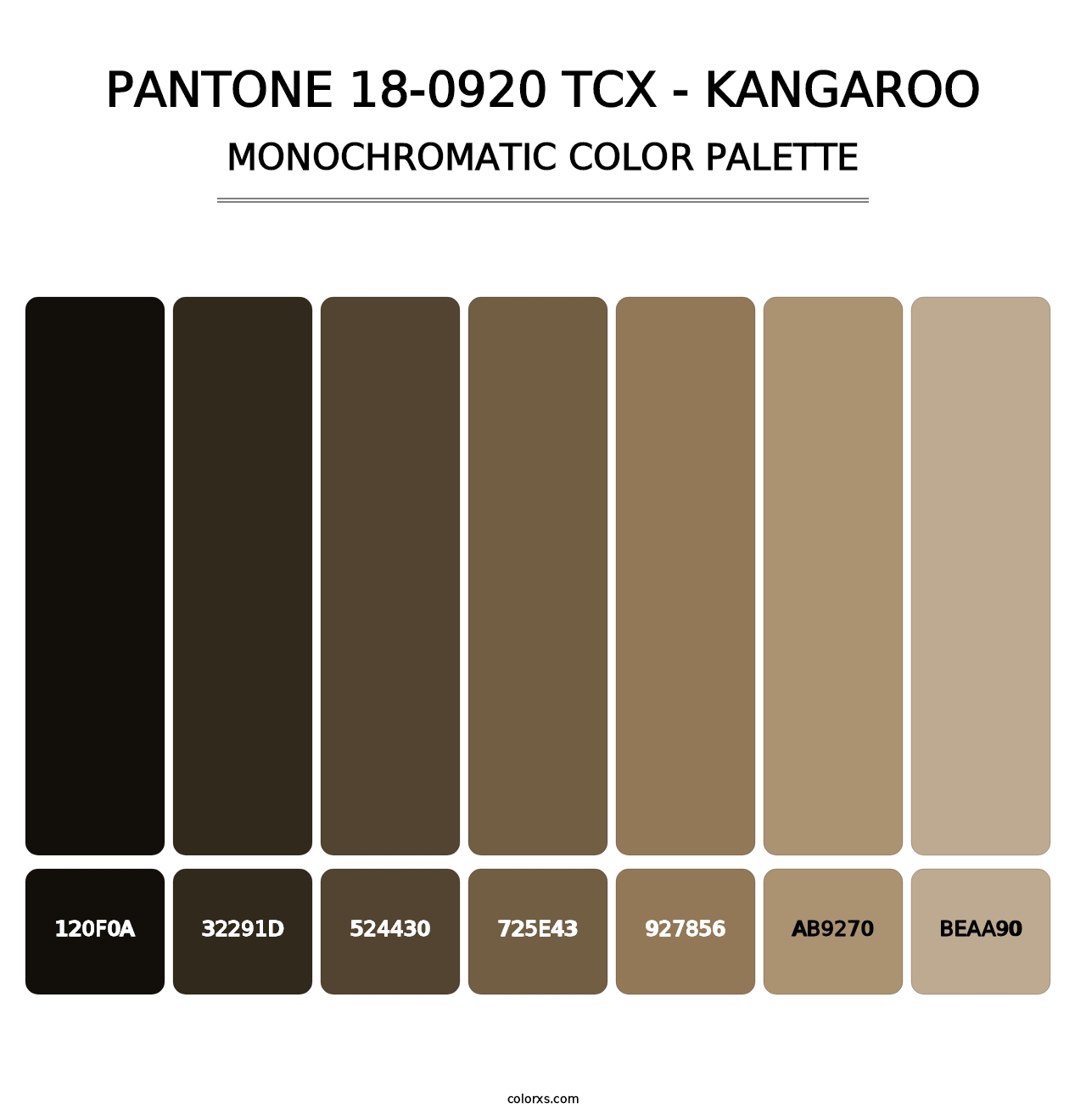 PANTONE 18-0920 TCX - Kangaroo - Monochromatic Color Palette