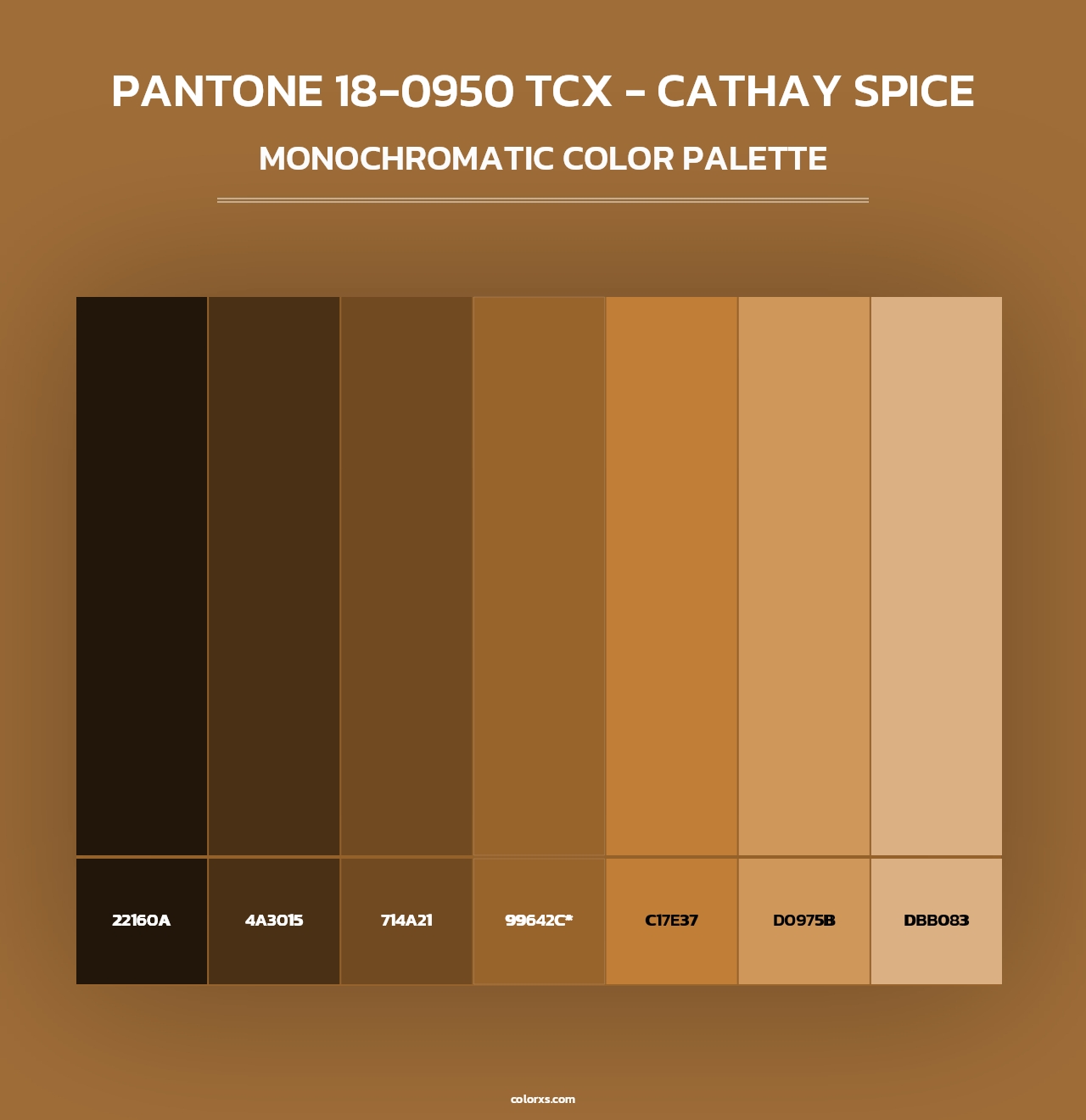 PANTONE 18-0950 TCX - Cathay Spice - Monochromatic Color Palette