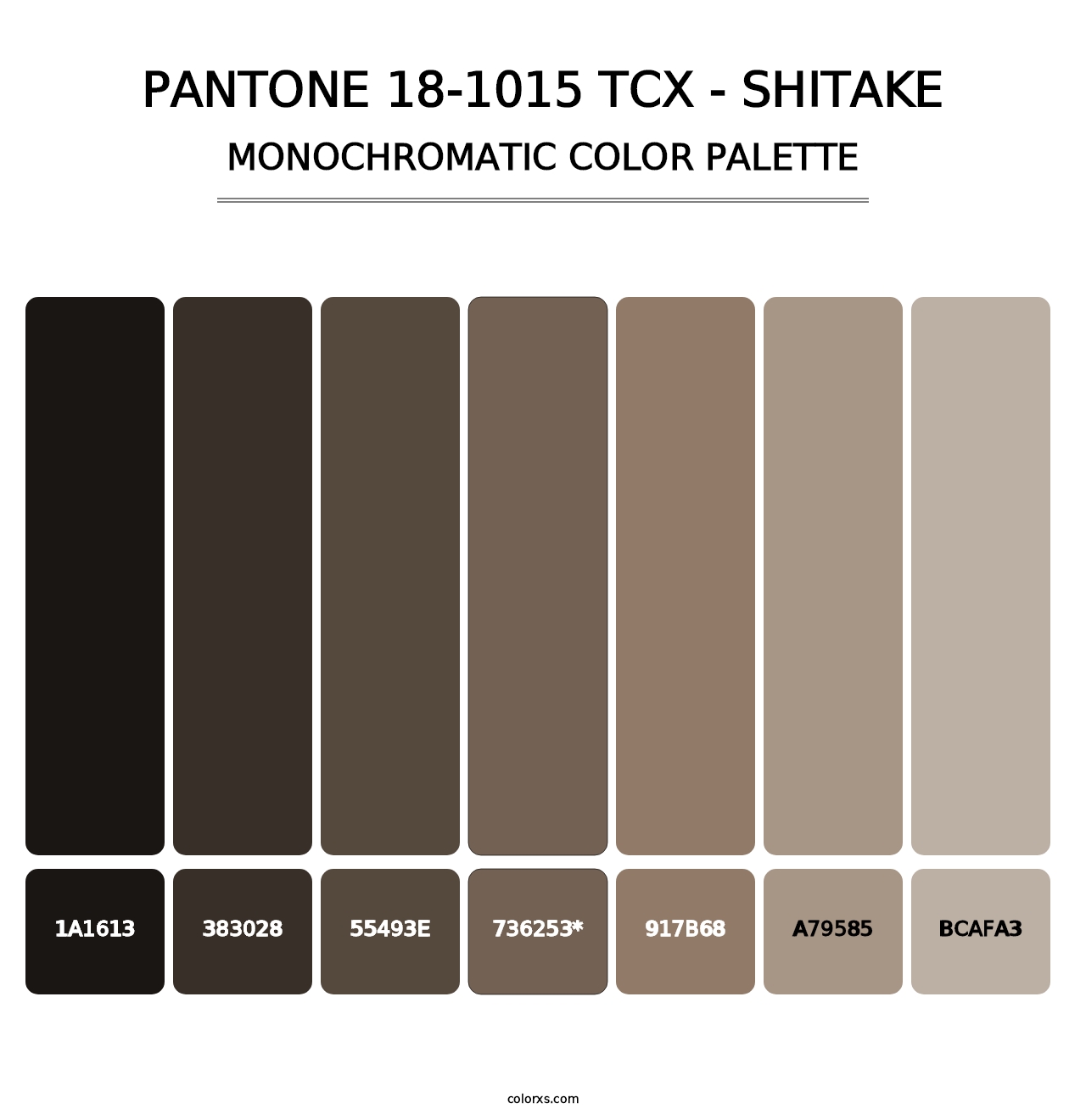 PANTONE 18-1015 TCX - Shitake - Monochromatic Color Palette