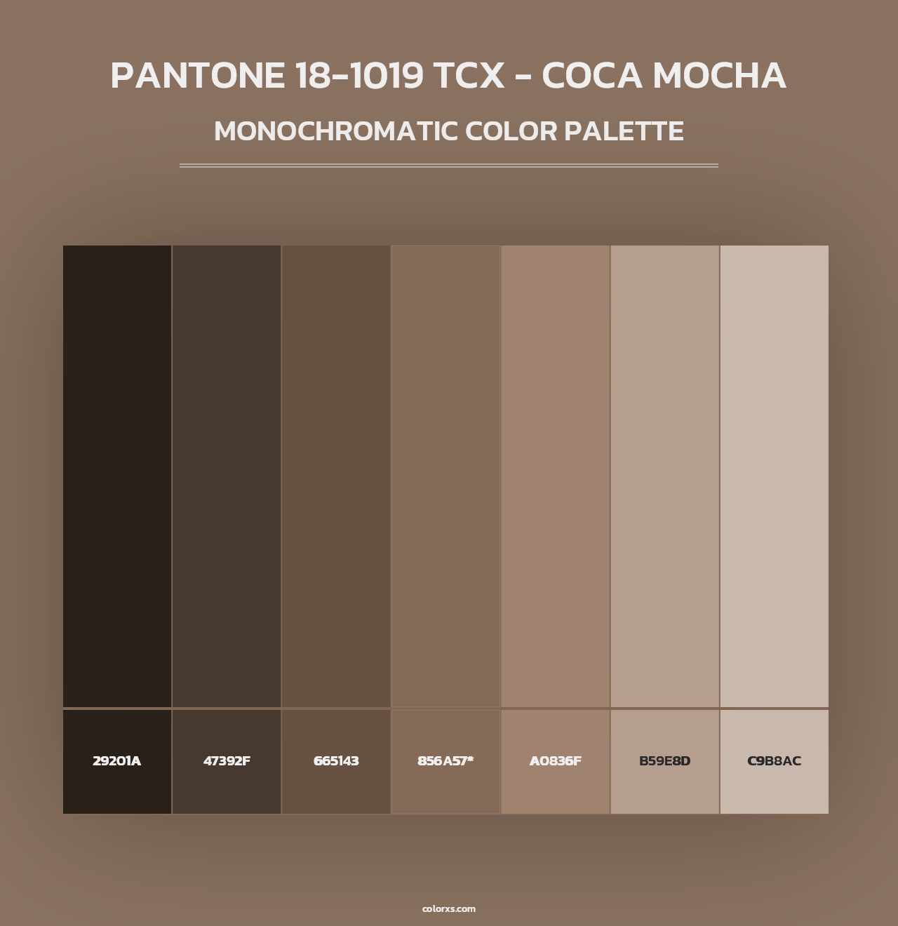 PANTONE 18-1019 TCX - Coca Mocha - Monochromatic Color Palette