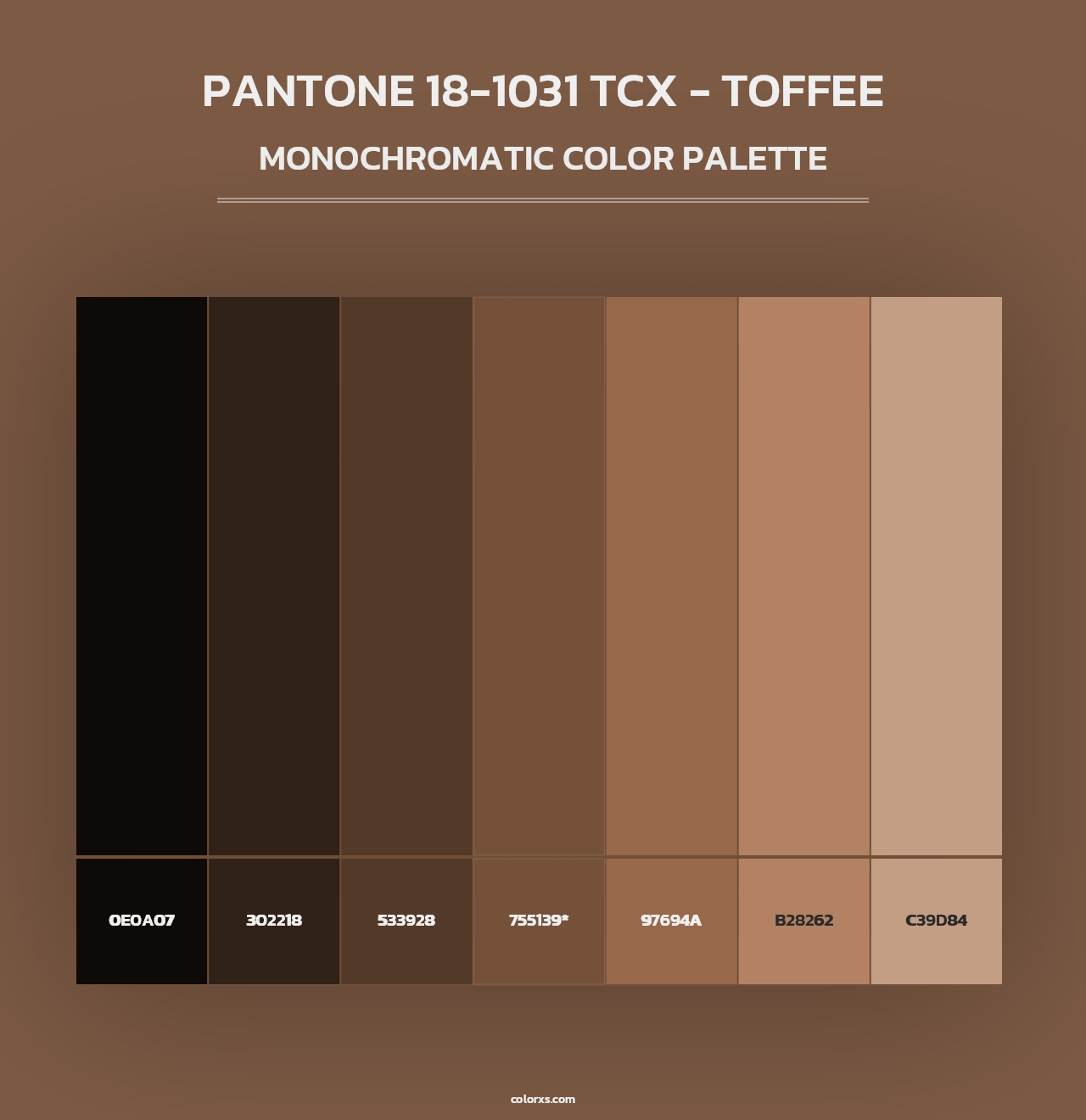 PANTONE 18-1031 TCX - Toffee - Monochromatic Color Palette