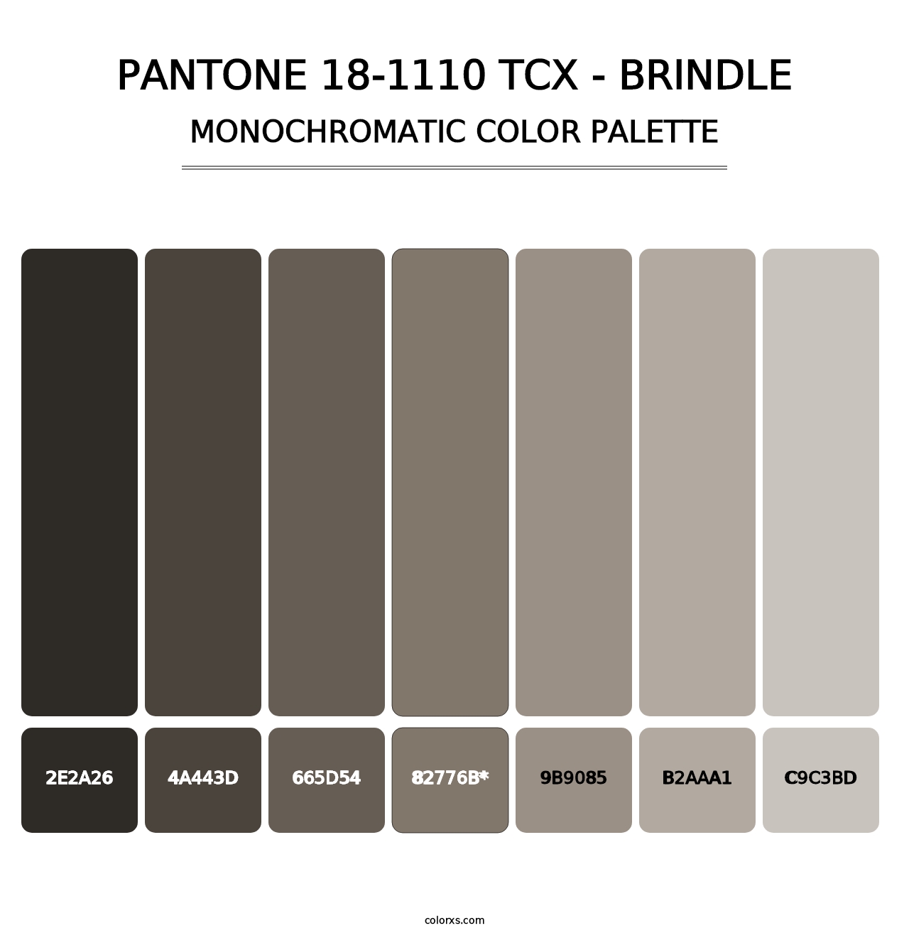PANTONE 18-1110 TCX - Brindle - Monochromatic Color Palette
