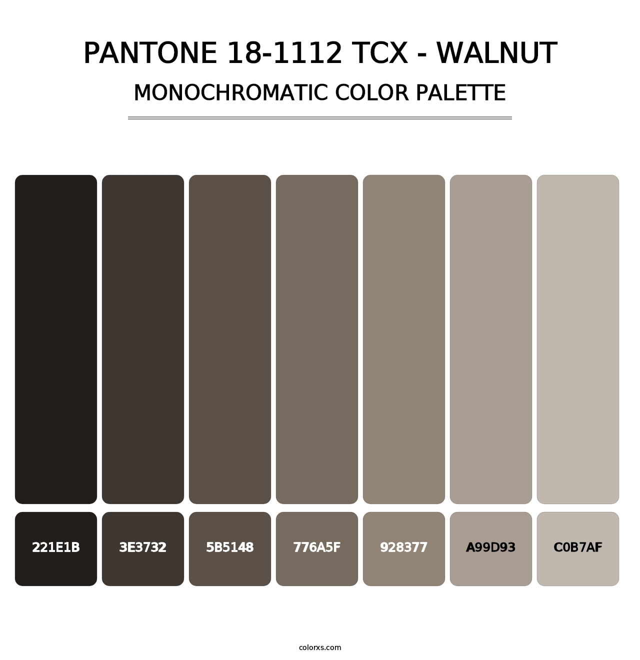PANTONE 18-1112 TCX - Walnut - Monochromatic Color Palette