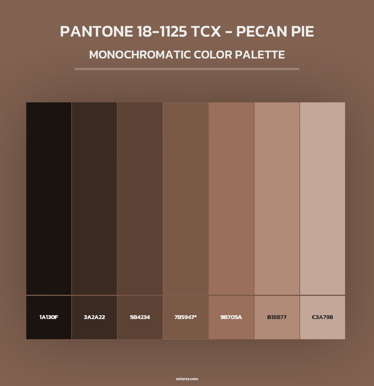 PANTONE 18-1125 TCX - Pecan Pie - Monochromatic Color Palette