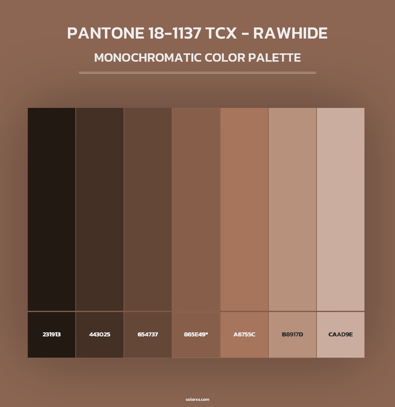 PANTONE 18-1137 TCX - Rawhide - Monochromatic Color Palette